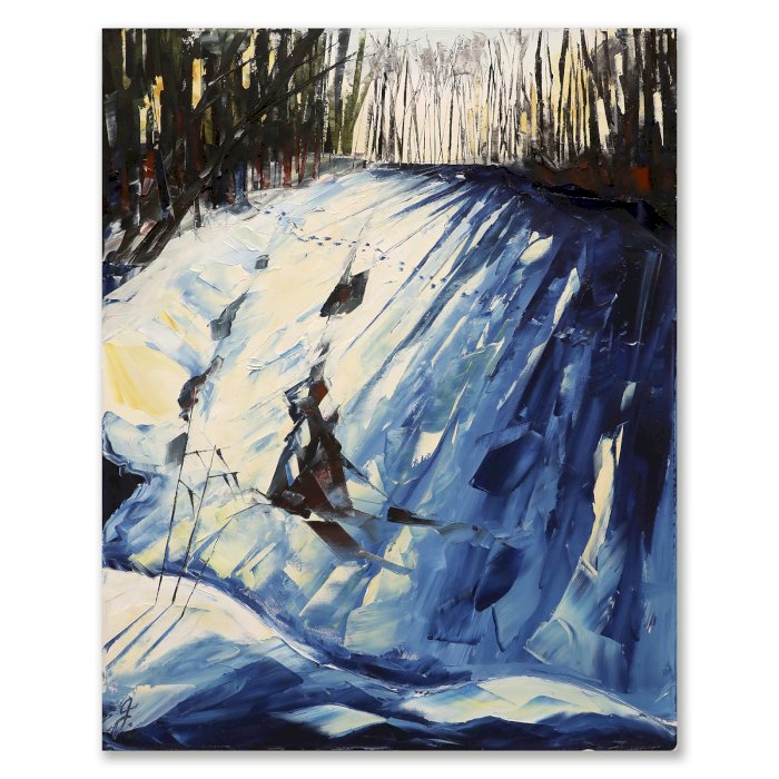 Sur les traces d'un renard