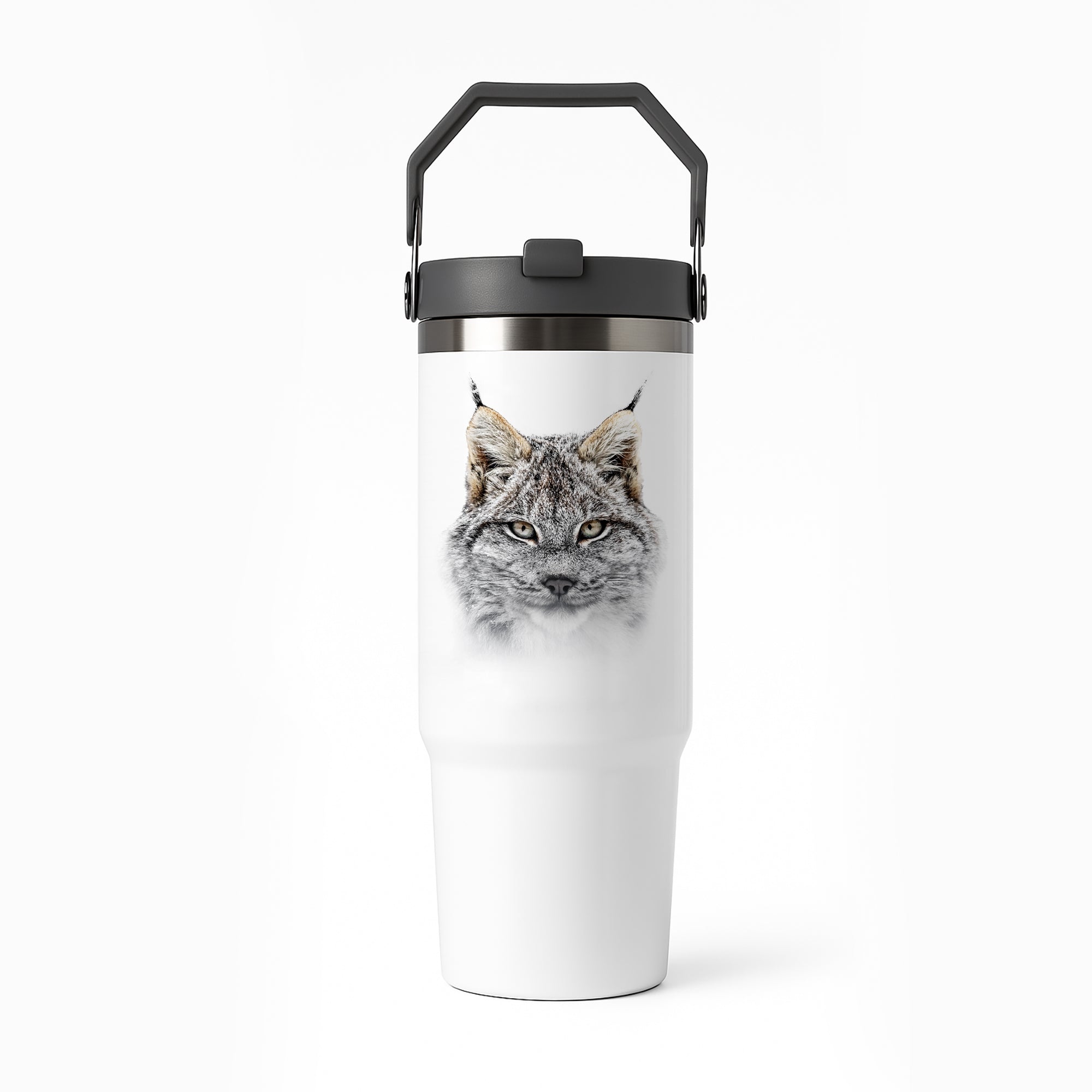 Gourde isotherme - Lynx