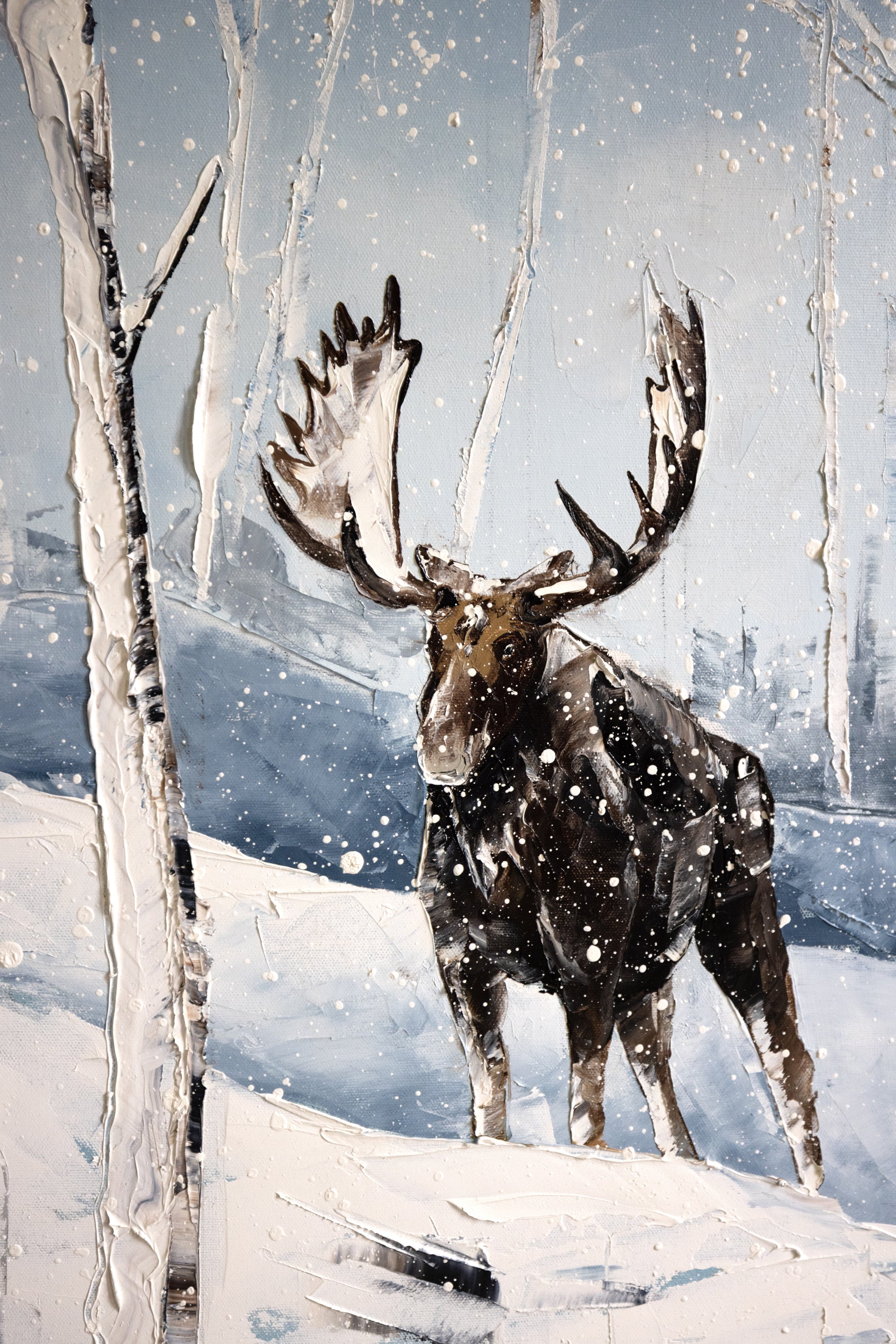 Le givre de décembre