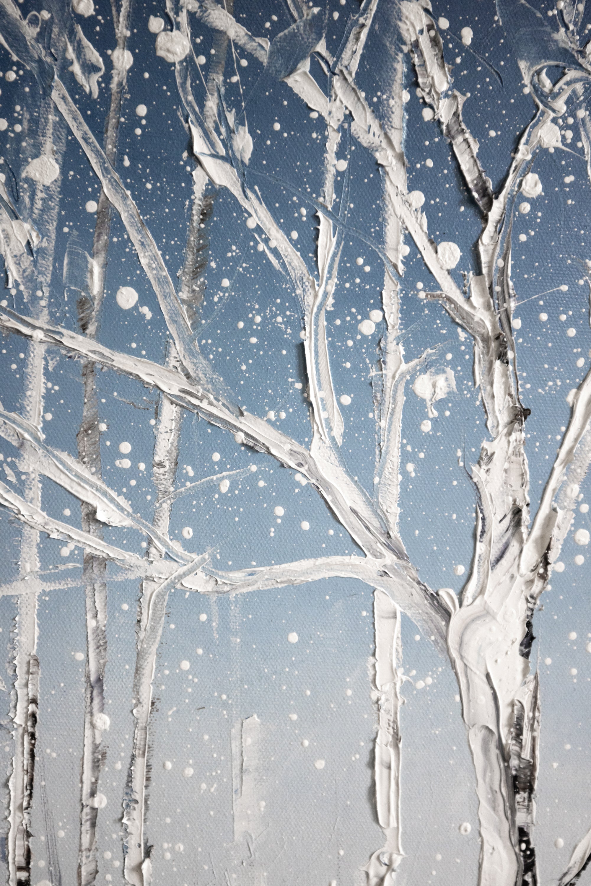 Le givre de décembre