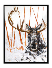 Sur le Ernest-Laforce