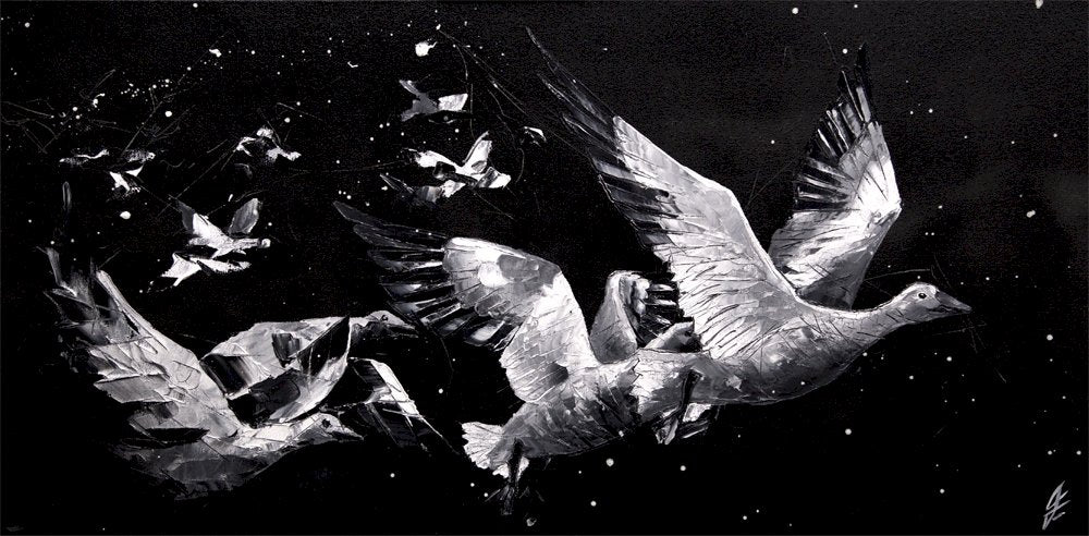 Vol d'une première neige