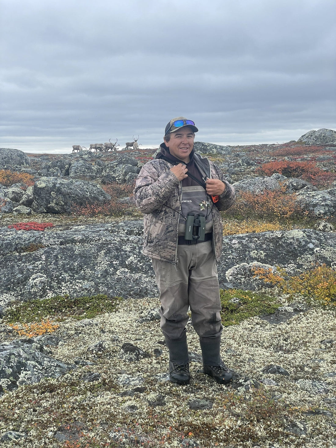 Caribou migrateur : vivre la migration dans le Nord du Québec