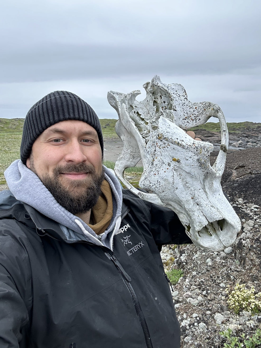 Mon premier ours blanc du Québec