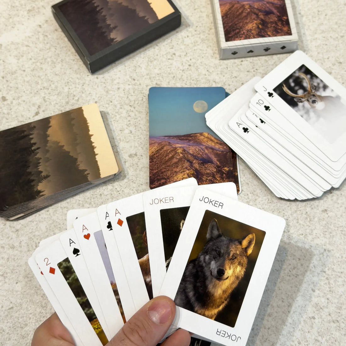 Jeu de cartes animaux du Canada et Québec | Cartes illustrées Jean-Simon Bégin - Photographe Animalier et Artiste Peintre