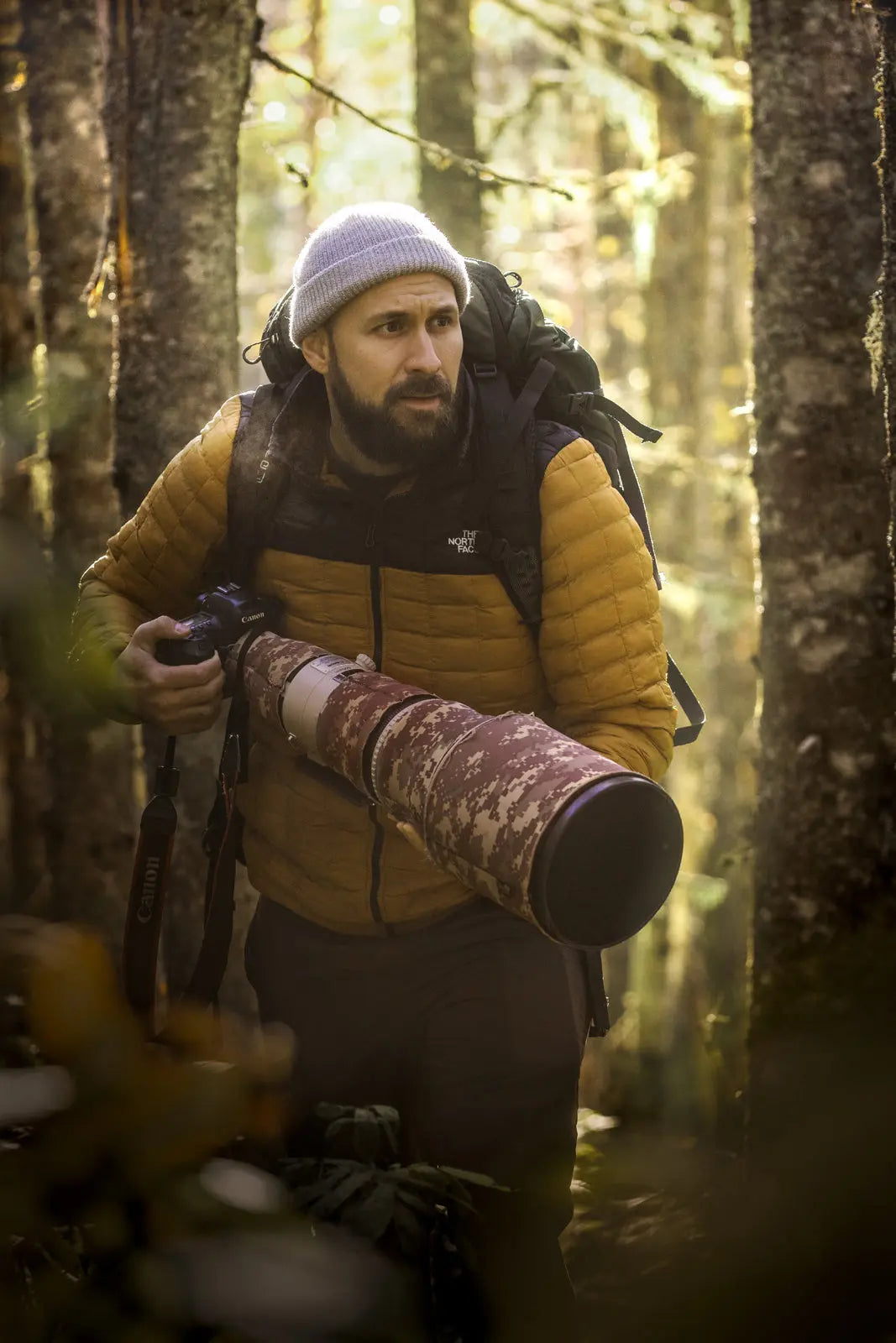 Comment devenir photographe animalier : guide complet pour percer en photographie animalière Jean-Simon Bégin - Photographe Animalier et Artiste Peintre