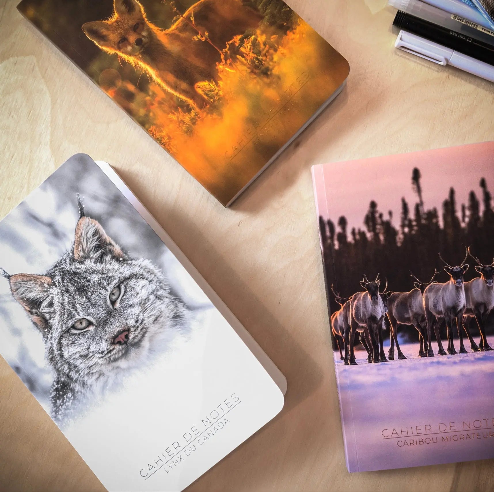 Cahiers de notes Jean-Simon Bégin - Photographe Animalier et Artiste Peintre