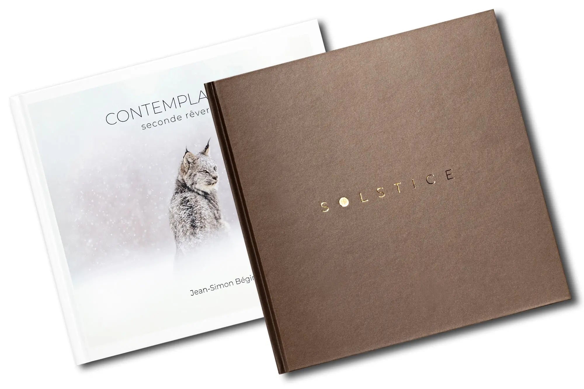 Livres Jean-Simon Bégin - Photographe Animalier et Artiste Peintre