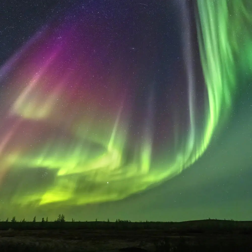 Aurore-boréale Jean-Simon Bégin - Photographe Animalier et Artiste Peintre