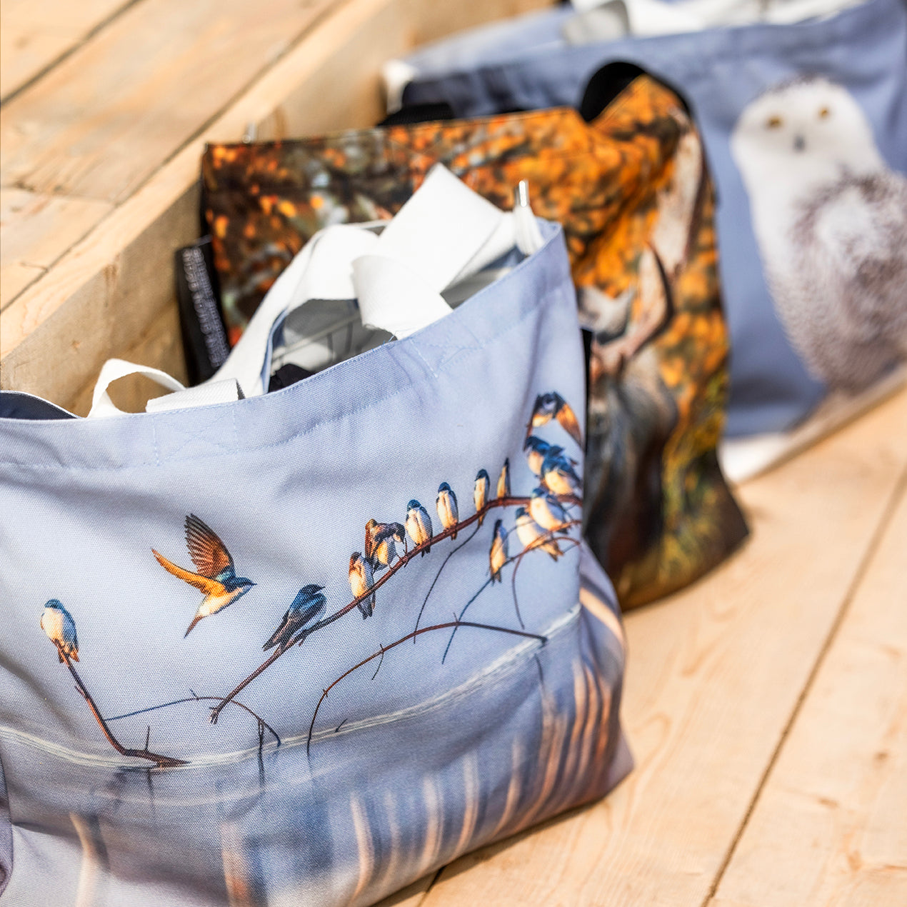 Sacs réutilisables en coton Jean-Simon Bégin - Photographe Animalier et Artiste Peintre