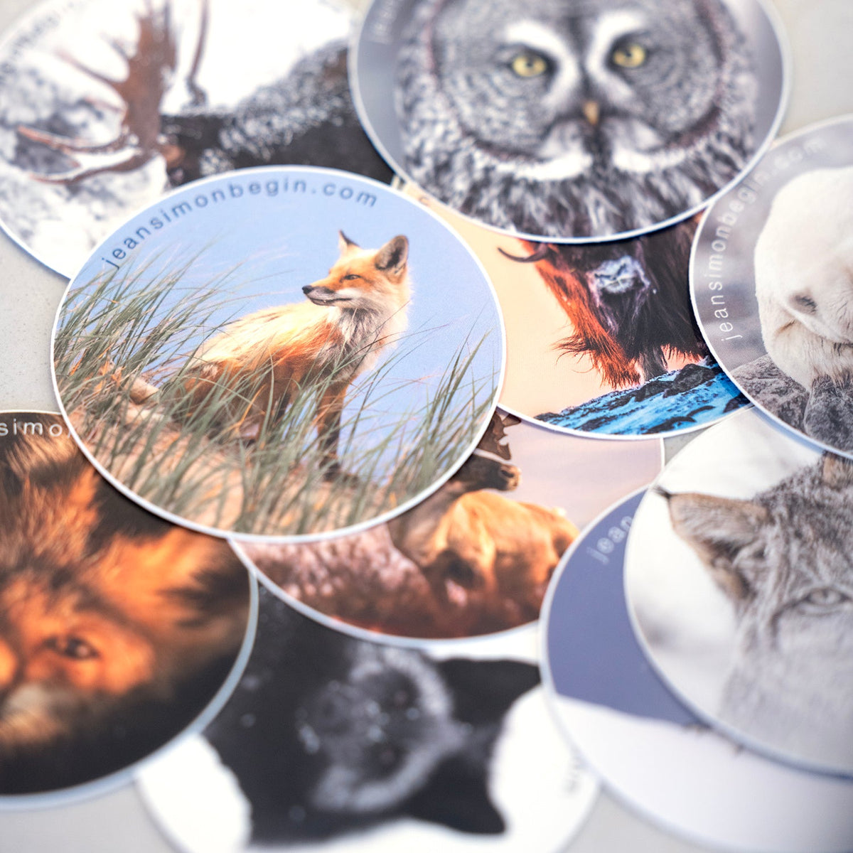 Autocollants Jean-Simon Bégin - Photographe Animalier et Artiste Peintre