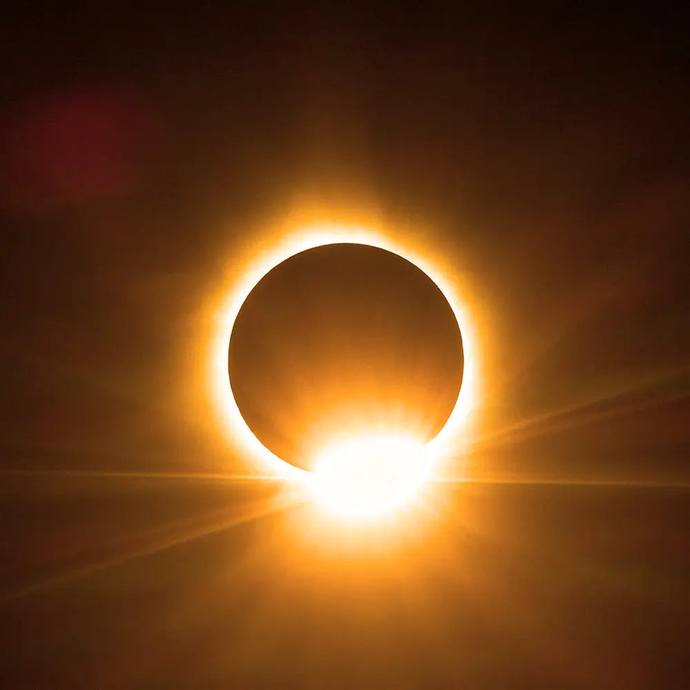 Éclipse solaire Jean-Simon Bégin - Photographe Animalier et Artiste Peintre