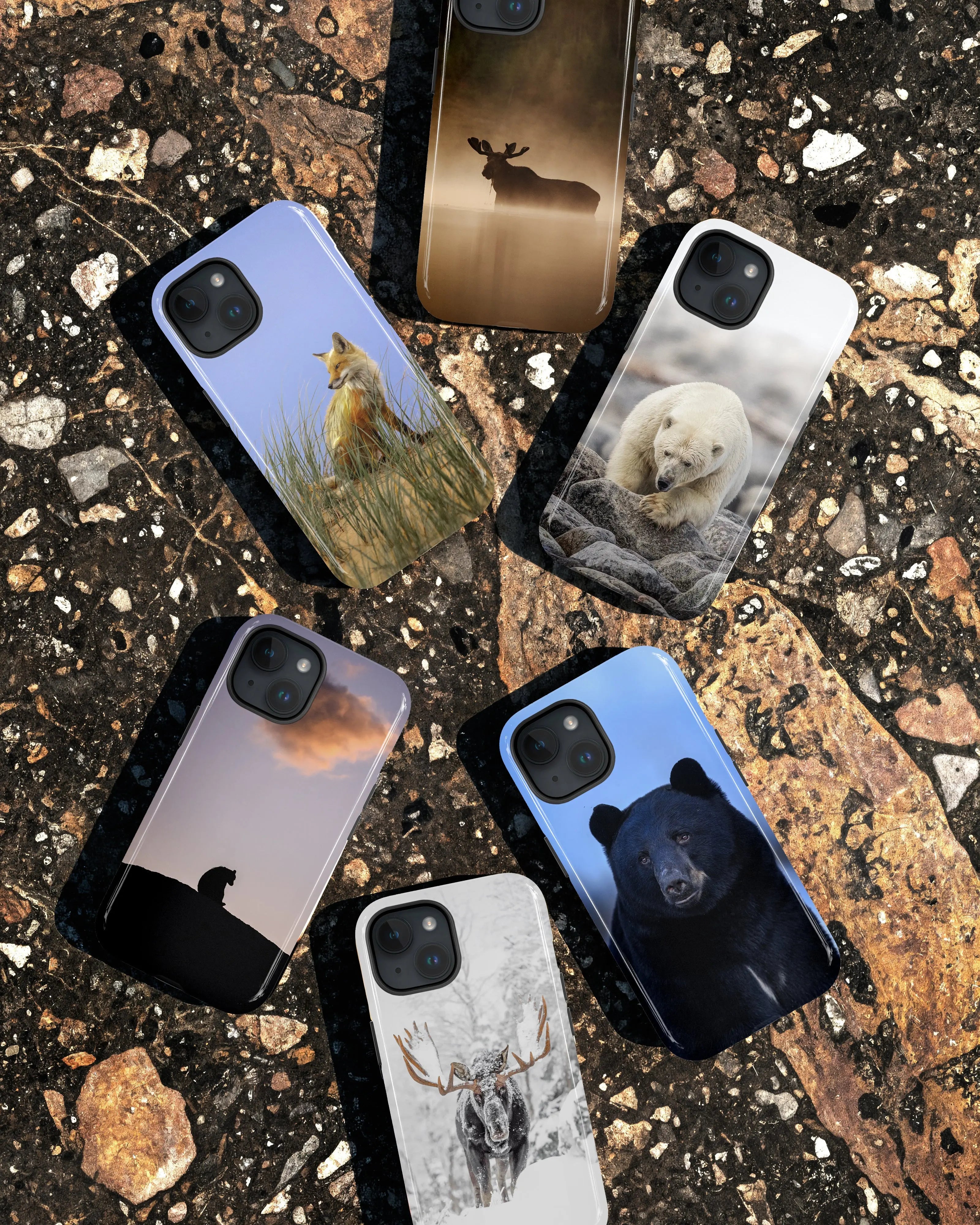 Étuis de cellulaire Jean-Simon Bégin - Photographe Animalier et Artiste Peintre
