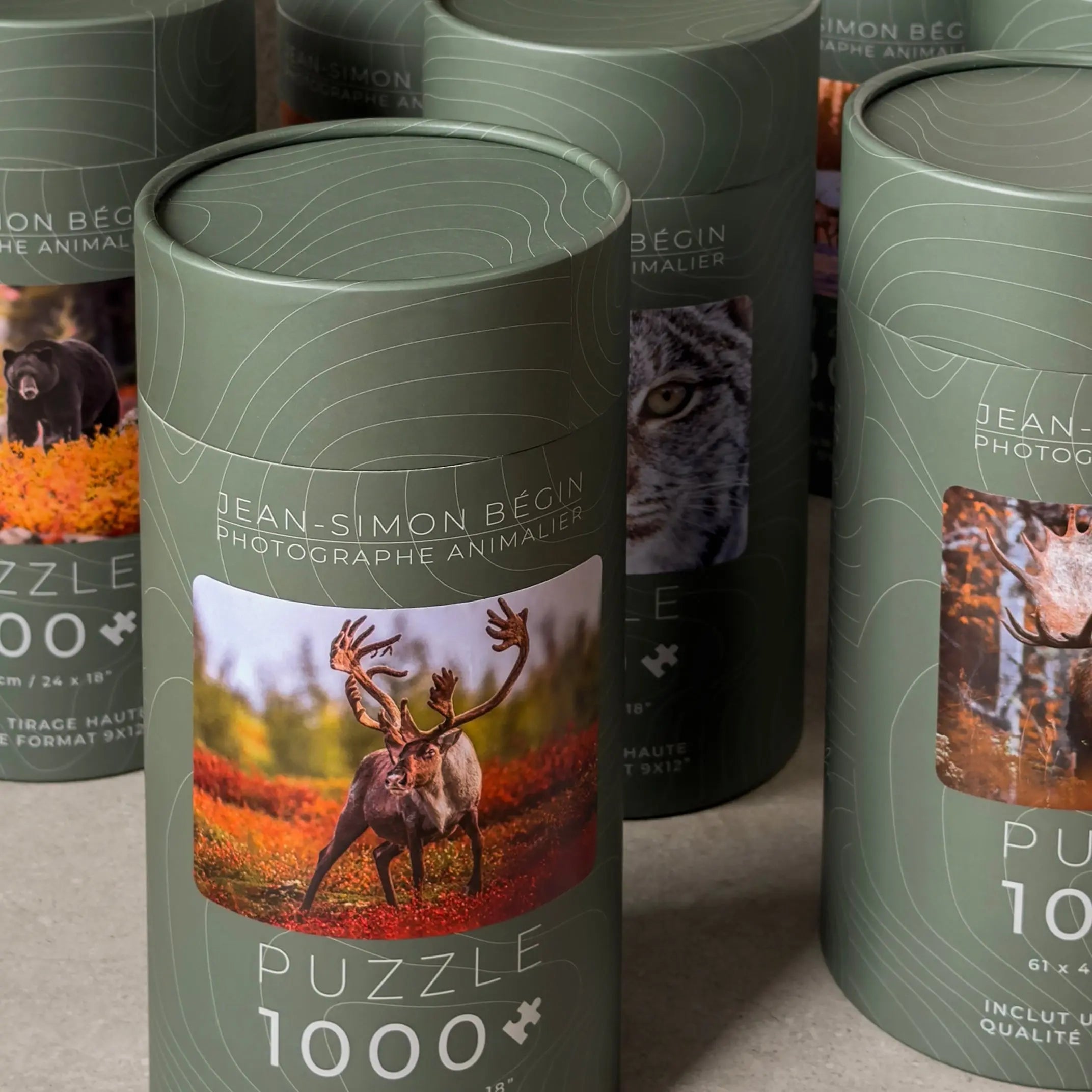Casses-têtes Jean-Simon Bégin - Photographe Animalier et Artiste Peintre