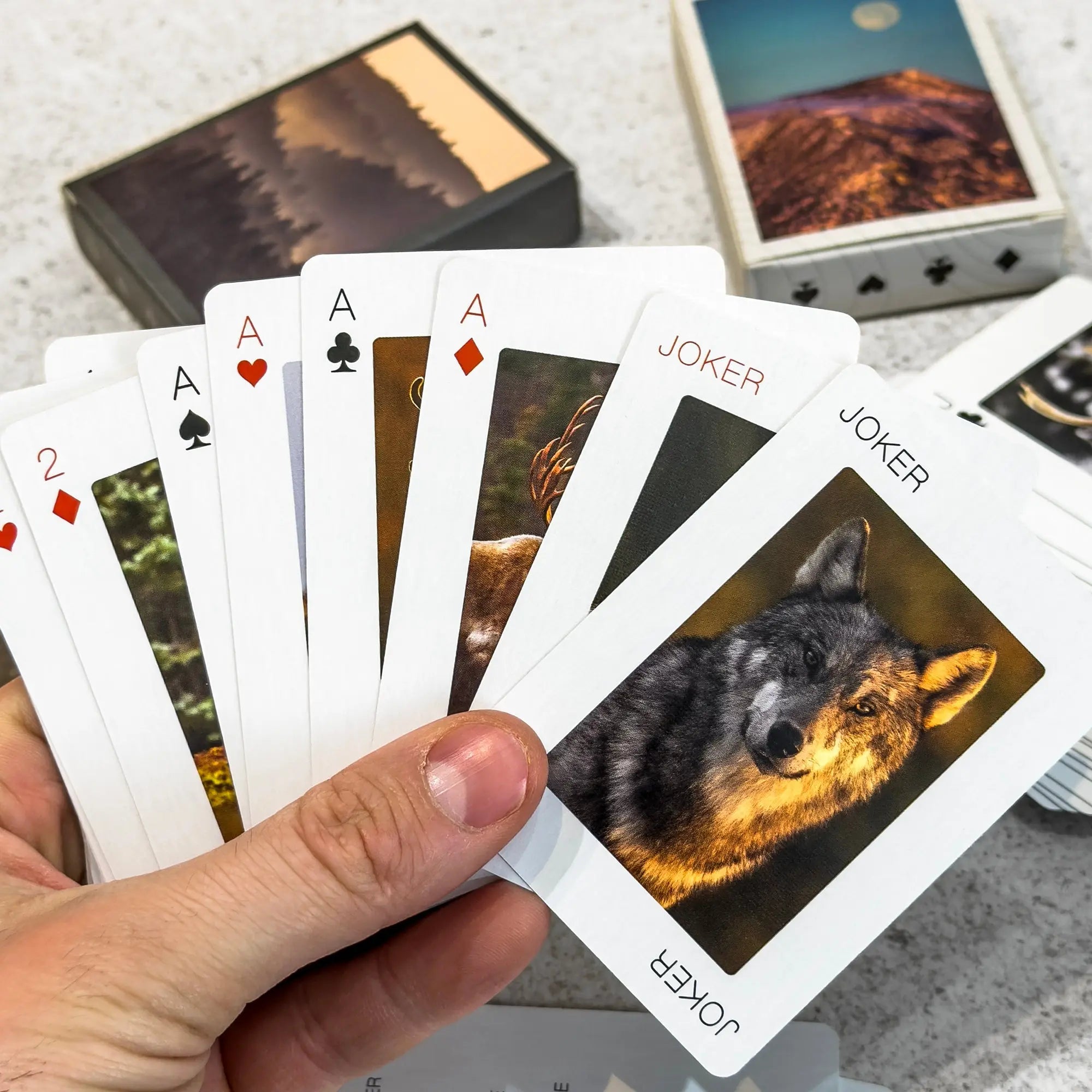 Cartes à jouer Jean-Simon Bégin - Photographe Animalier et Artiste Peintre