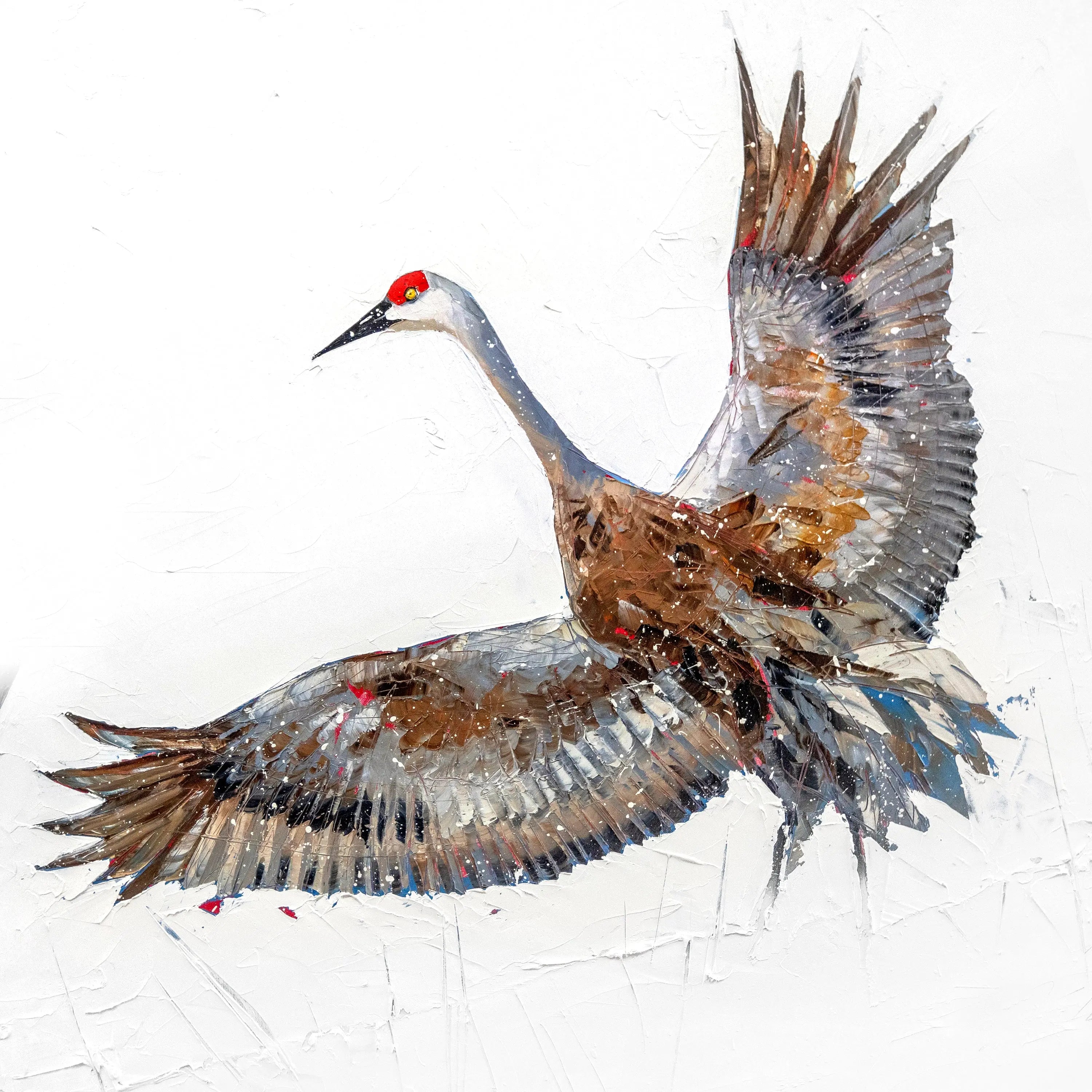 Les grues Jean-Simon Bégin - Photographe Animalier et Artiste Peintre