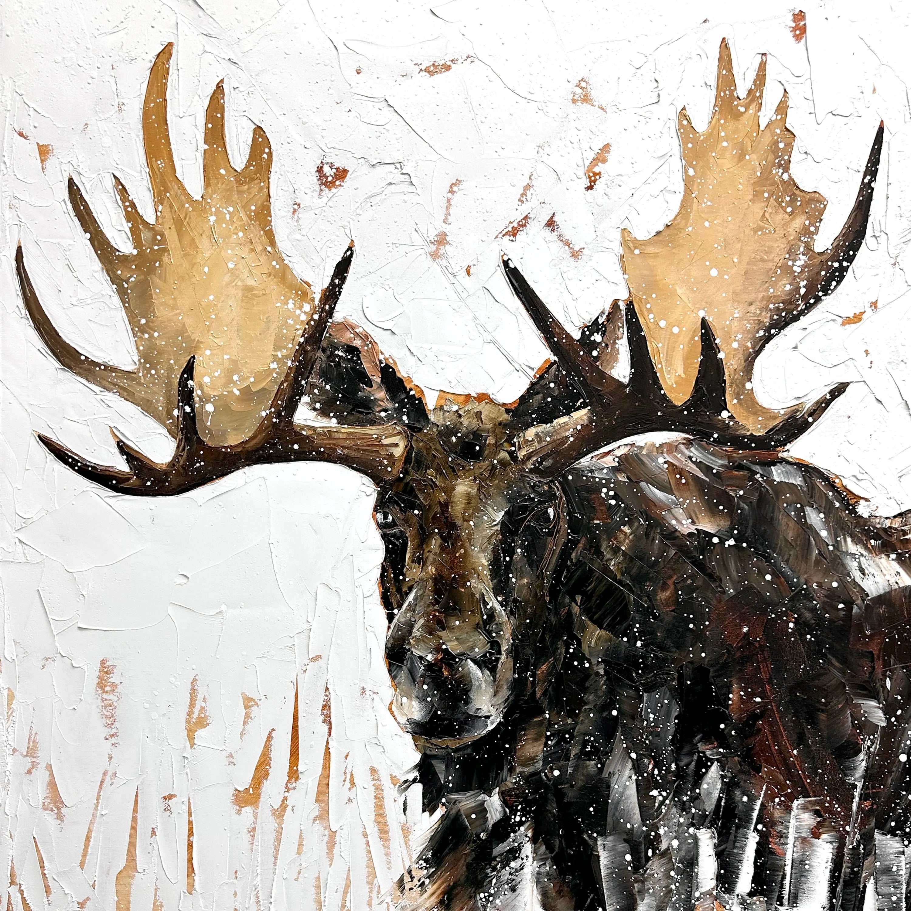 Orignaux Jean-Simon Bégin - Photographe Animalier et Artiste Peintre