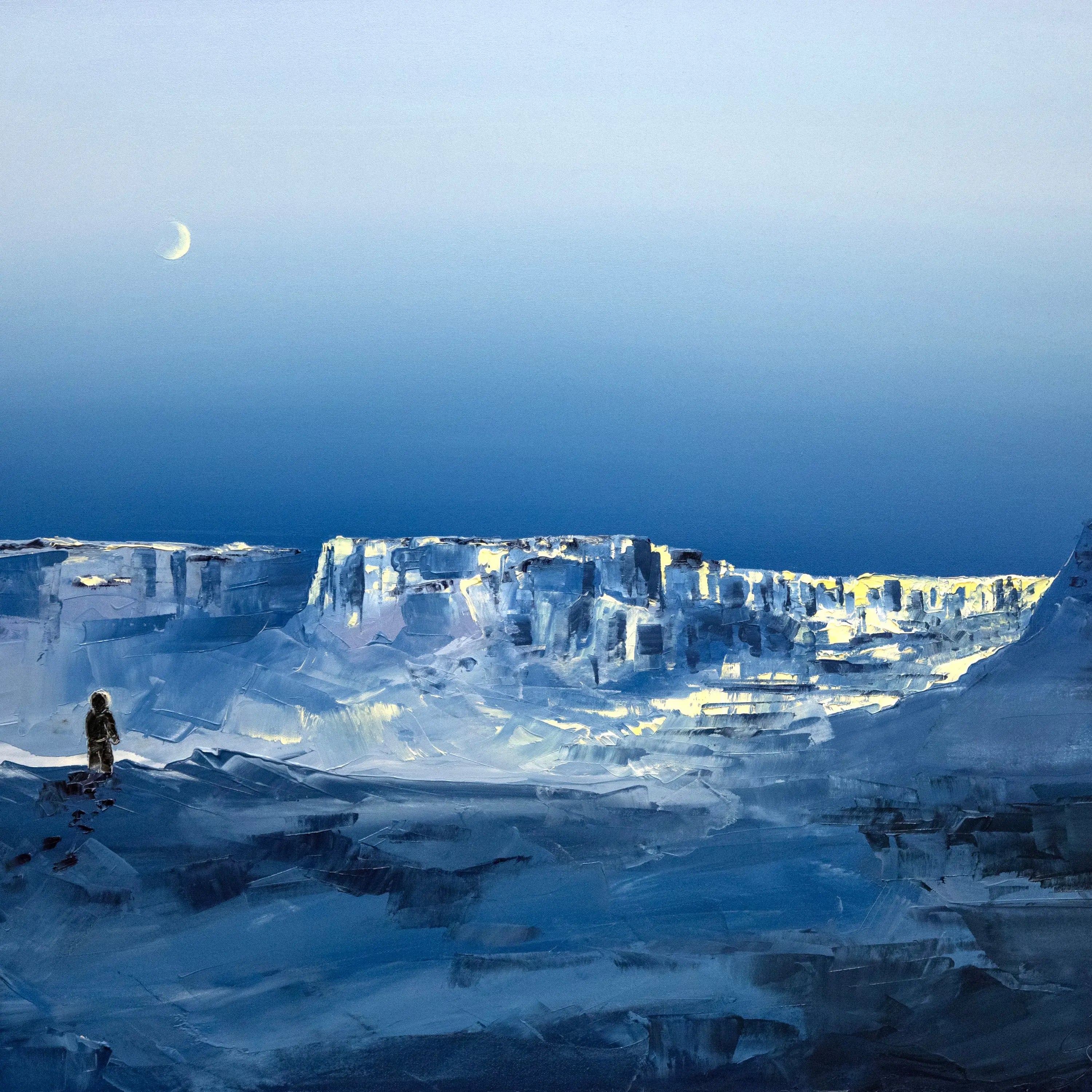 Nord Jean-Simon Bégin - Photographe Animalier et Artiste Peintre