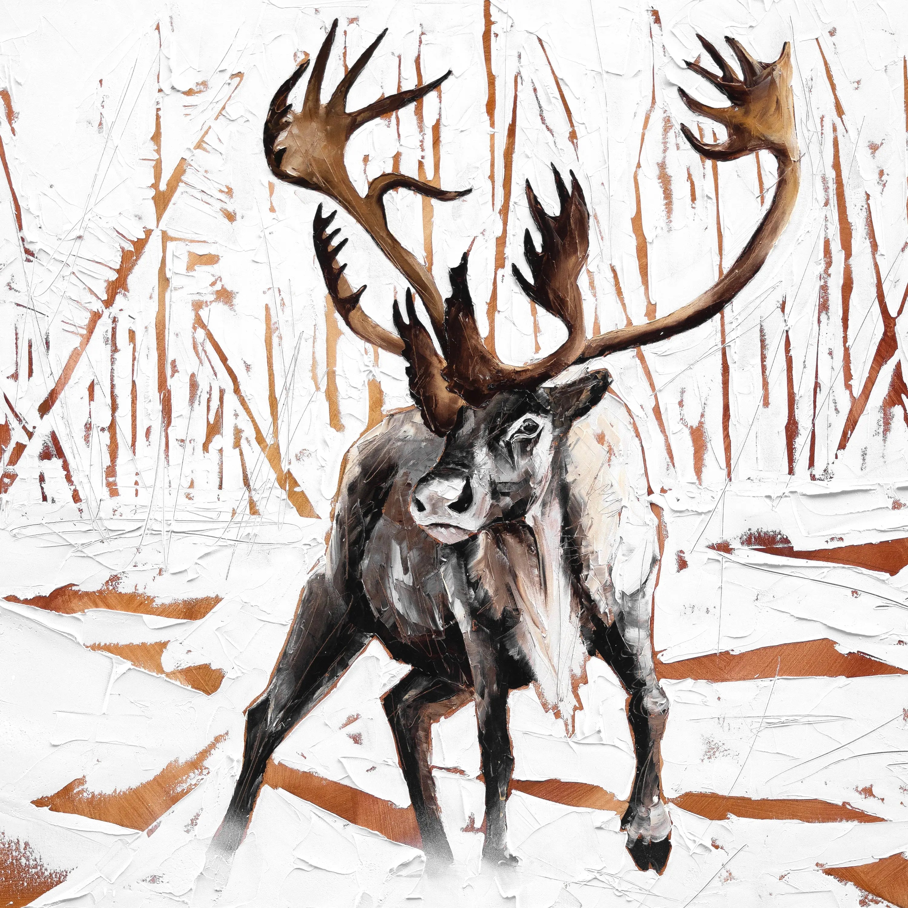 Caribou Jean-Simon Bégin - Photographe Animalier et Artiste Peintre