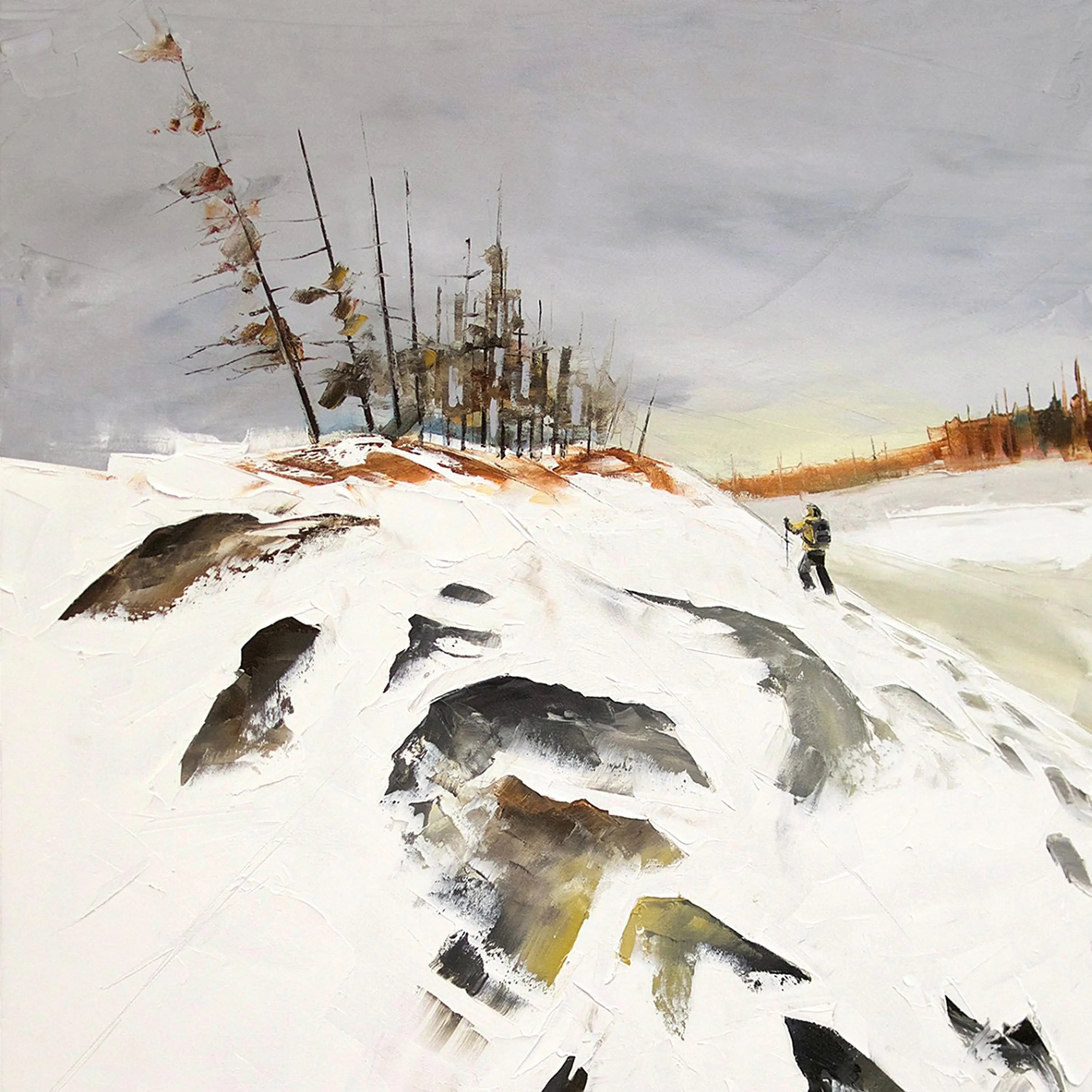 Expédition Jean-Simon Bégin - Photographe Animalier et Artiste Peintre