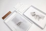 Coffret collection - Contemplation II