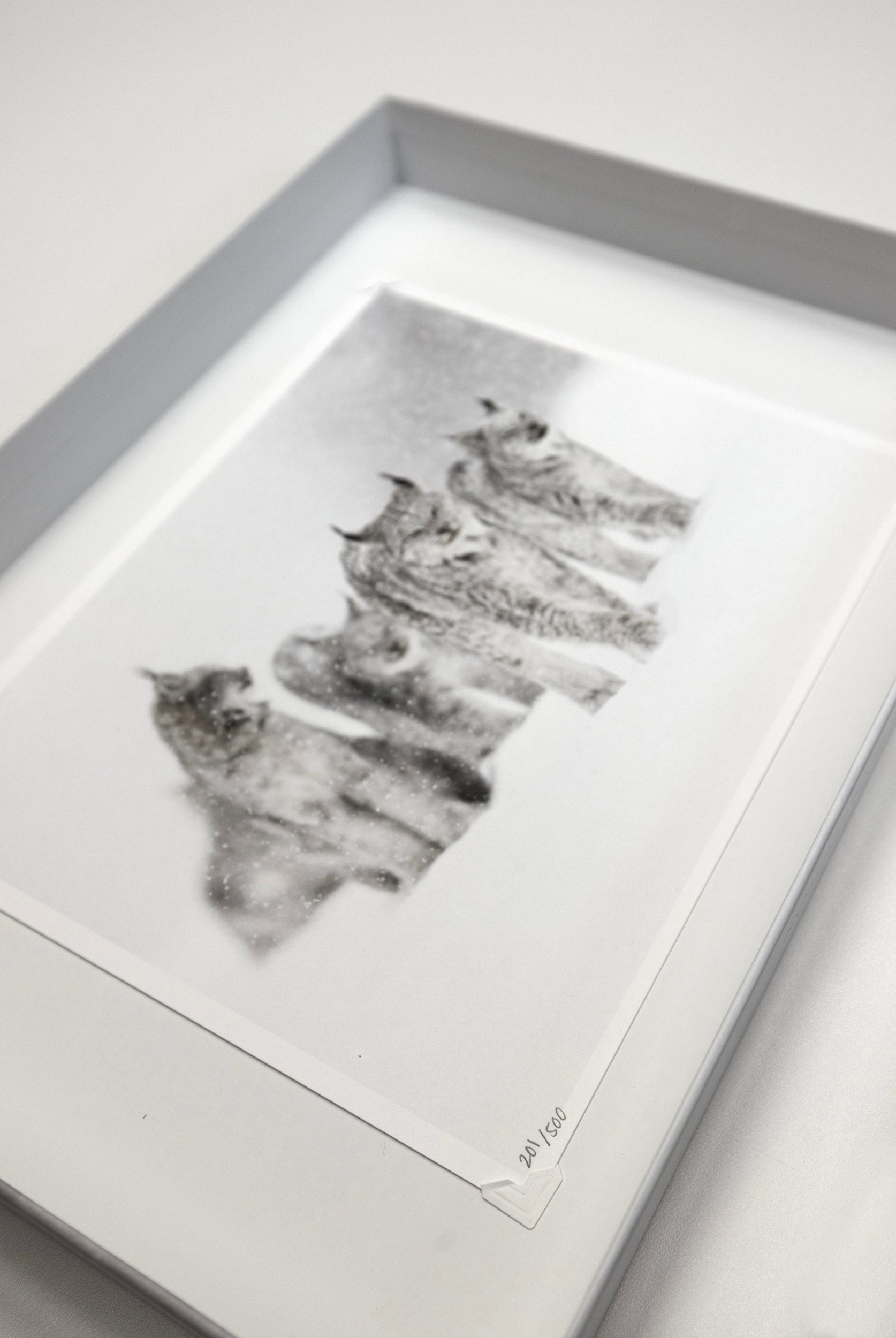 Coffret collection - Contemplation II