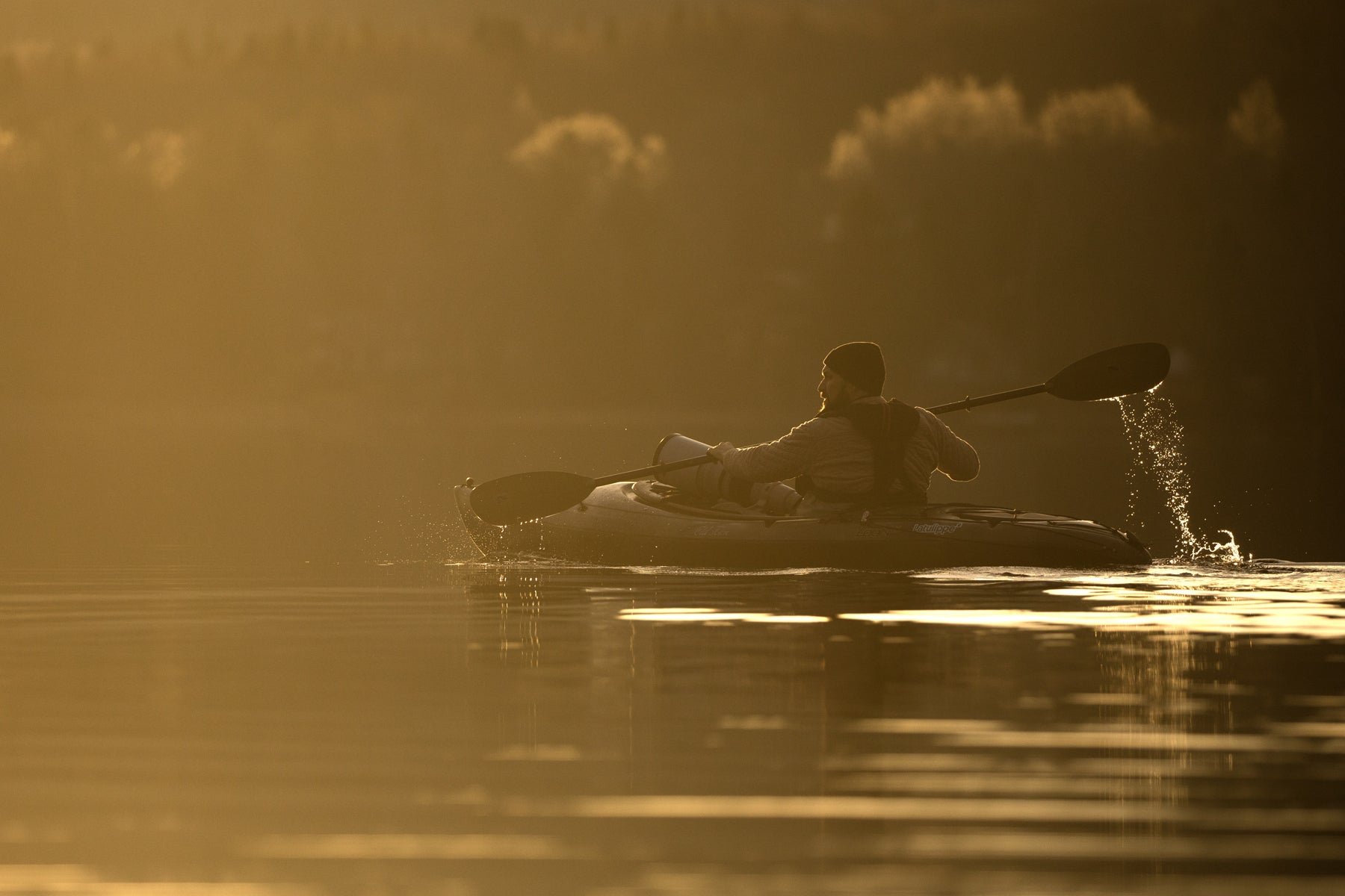 Jean-Simon Bégin - Photographe Animalier et Artiste Peintre