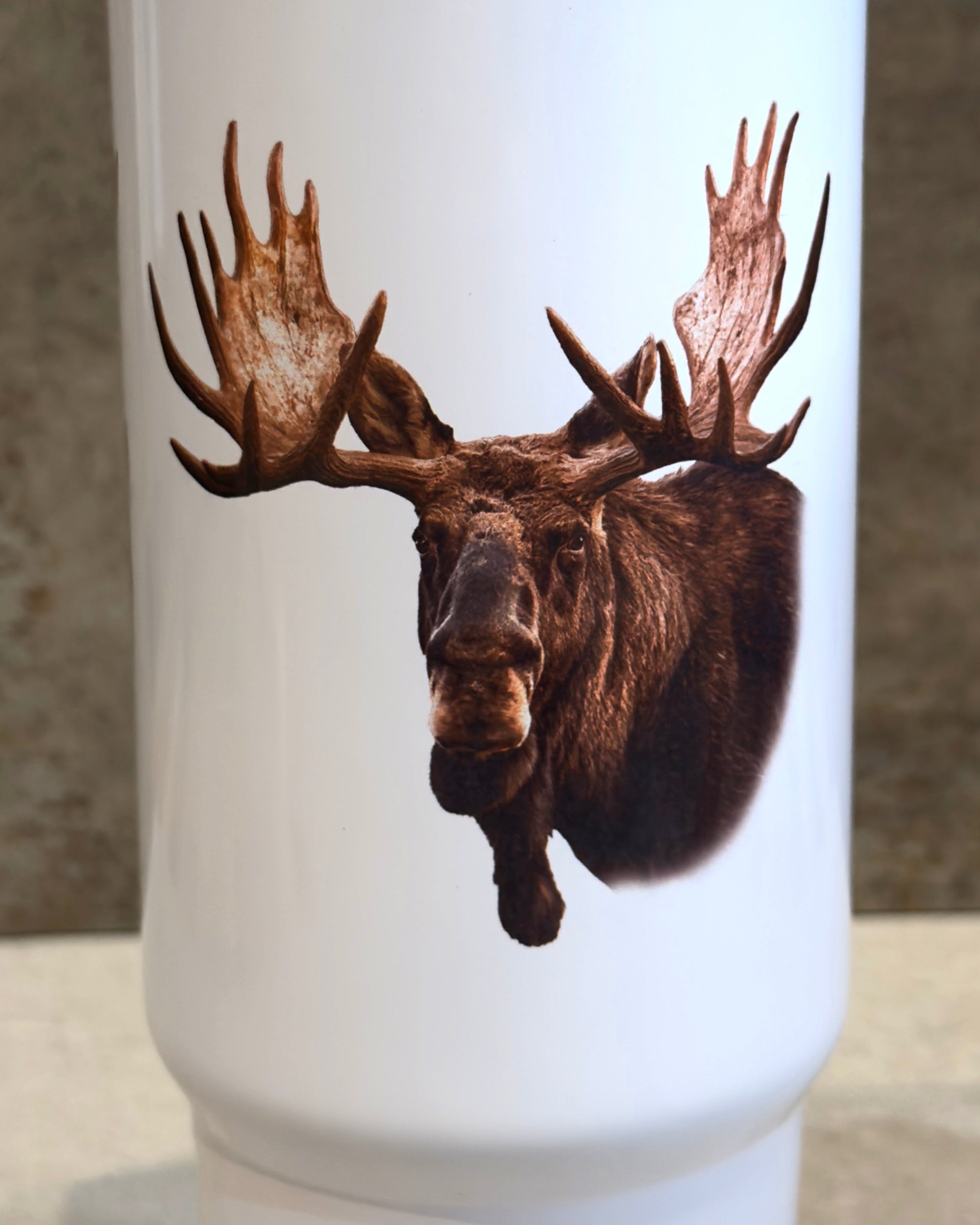 Gourde isotherme - Orignaux