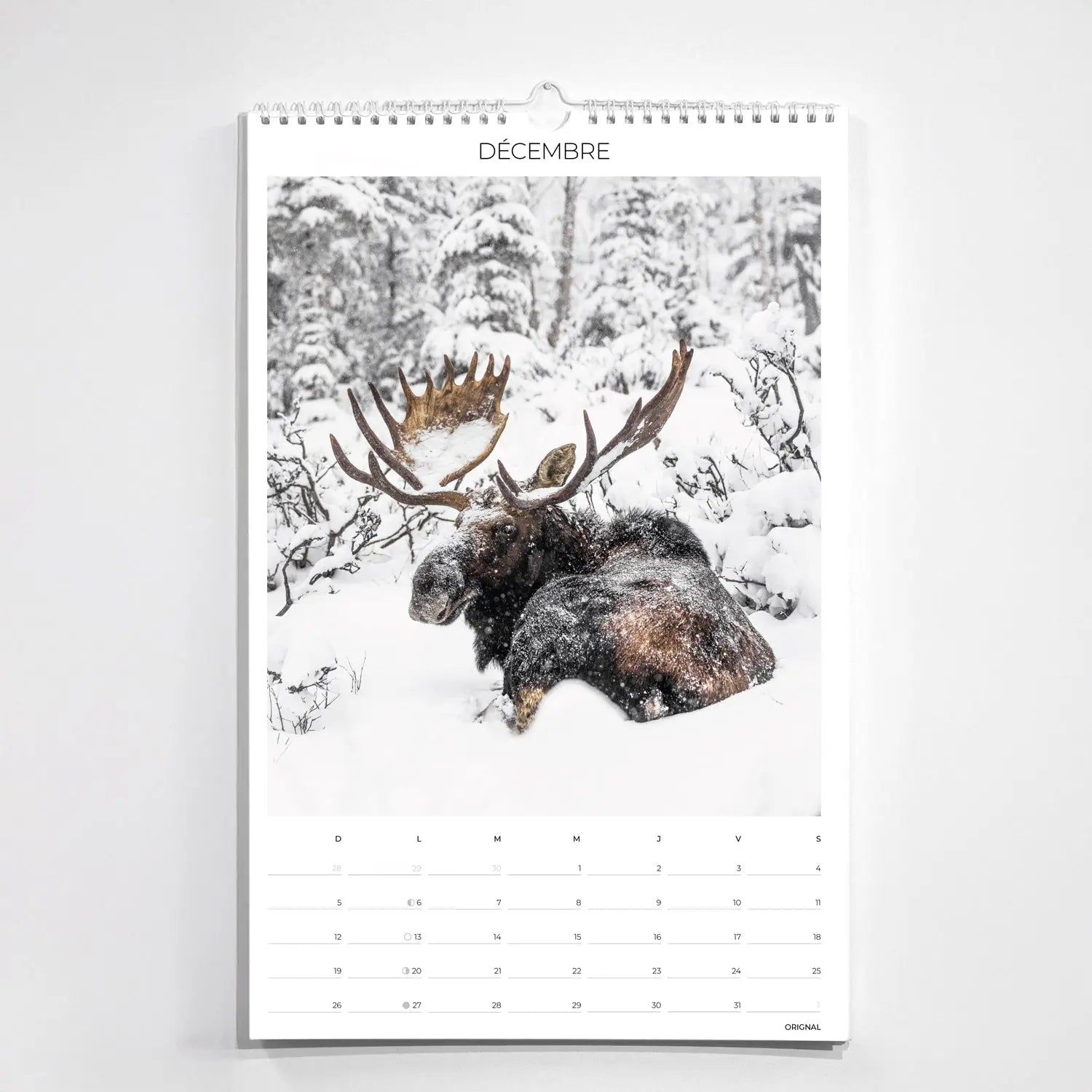 Calendrier collection - Boréal Jean-Simon Bégin - Photographe Animalier et Artiste Peintre