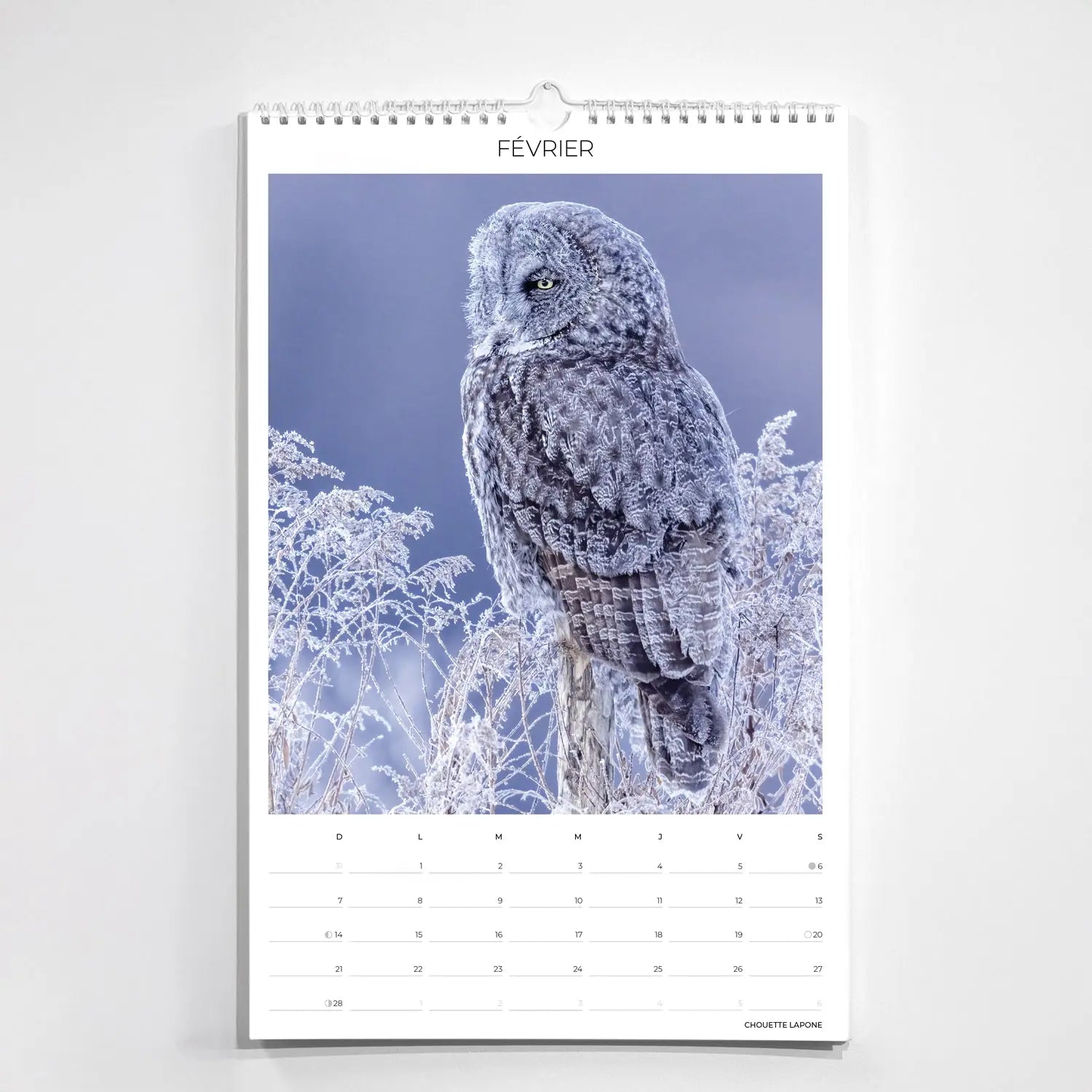 Calendrier collection - Boréal Jean-Simon Bégin - Photographe Animalier et Artiste Peintre