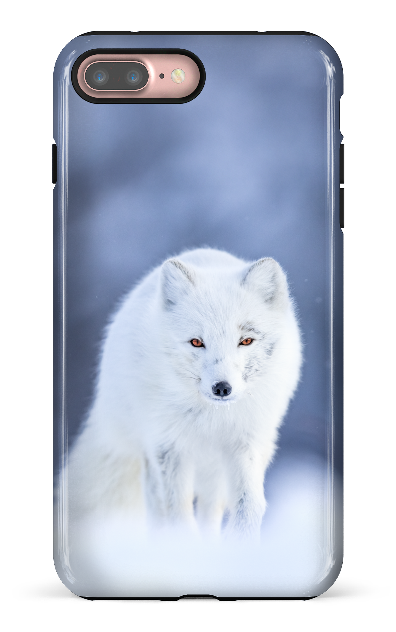 Arctique