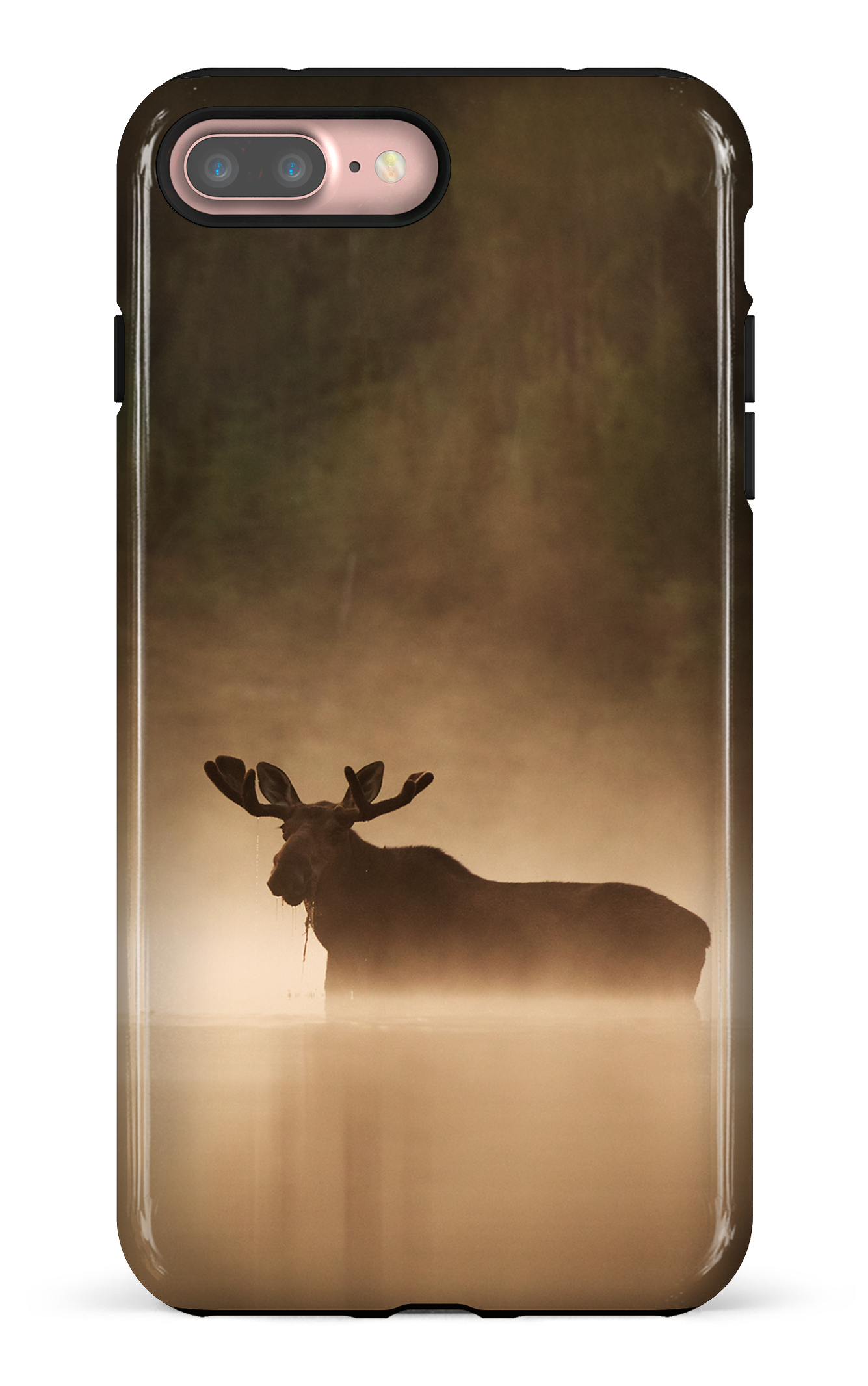 Brume et chaleur
