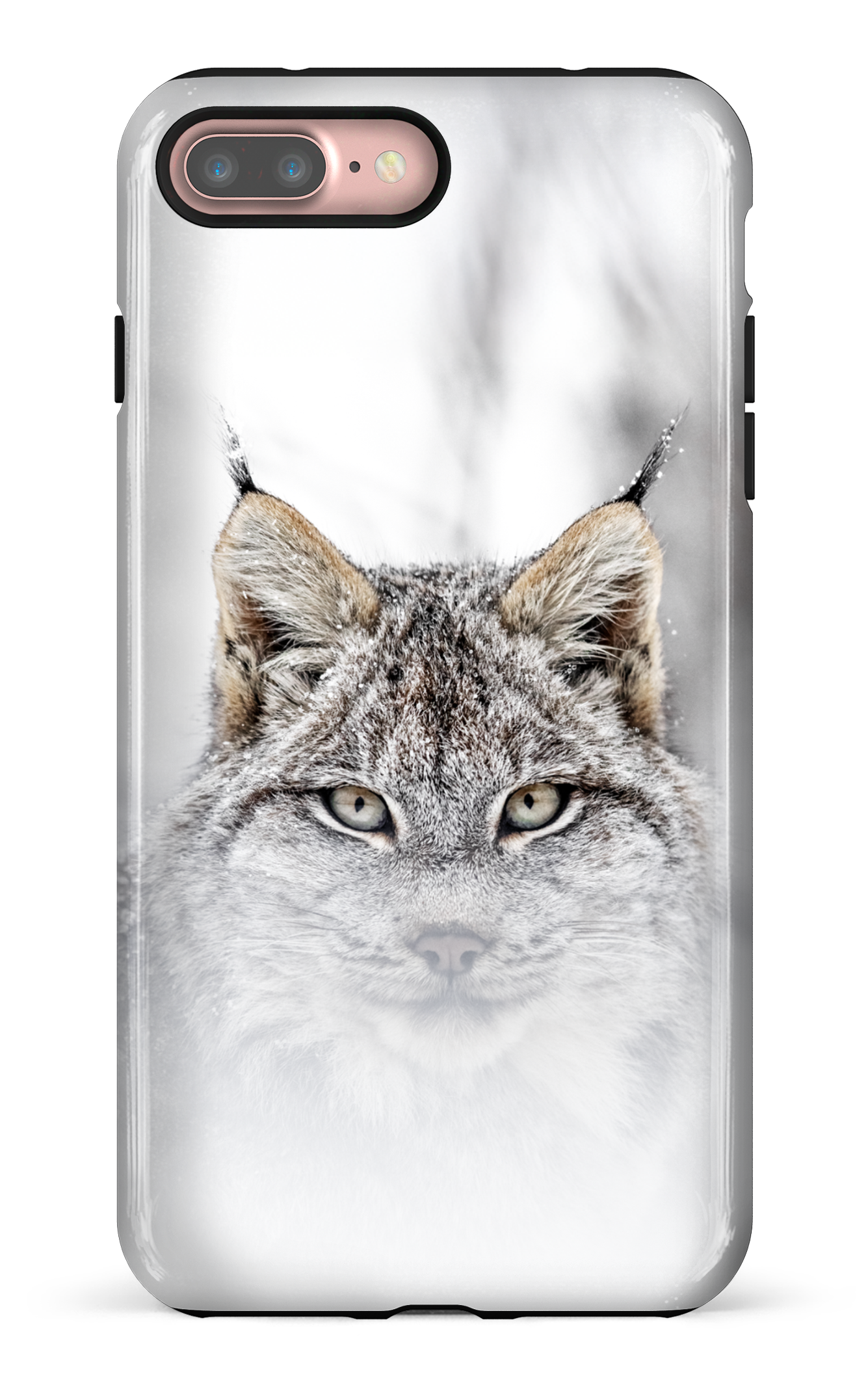 Le chat