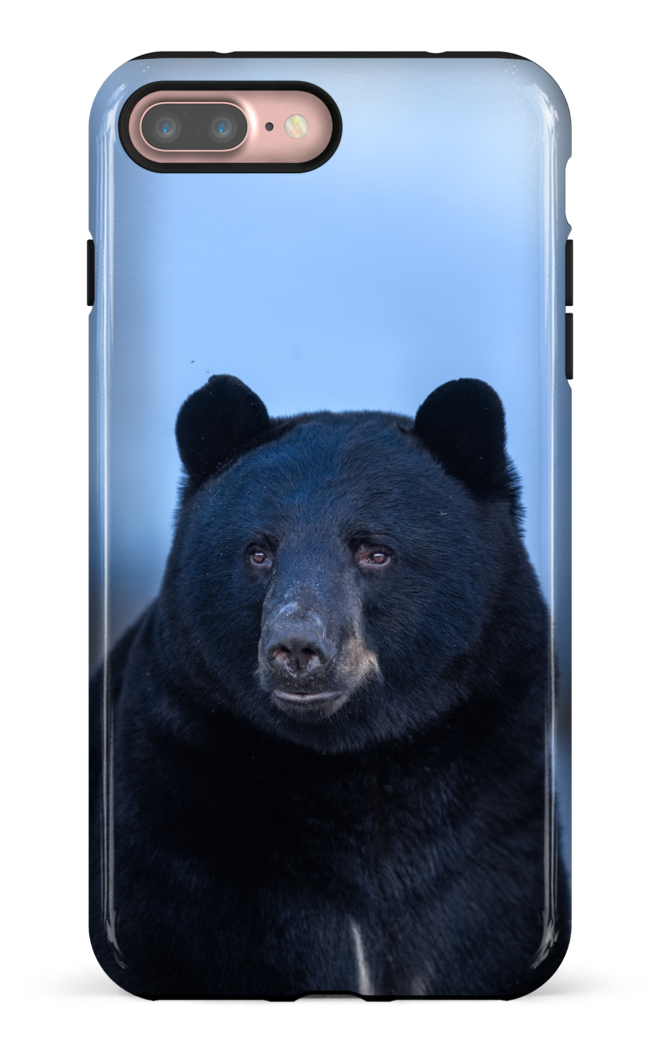 Ours bleu