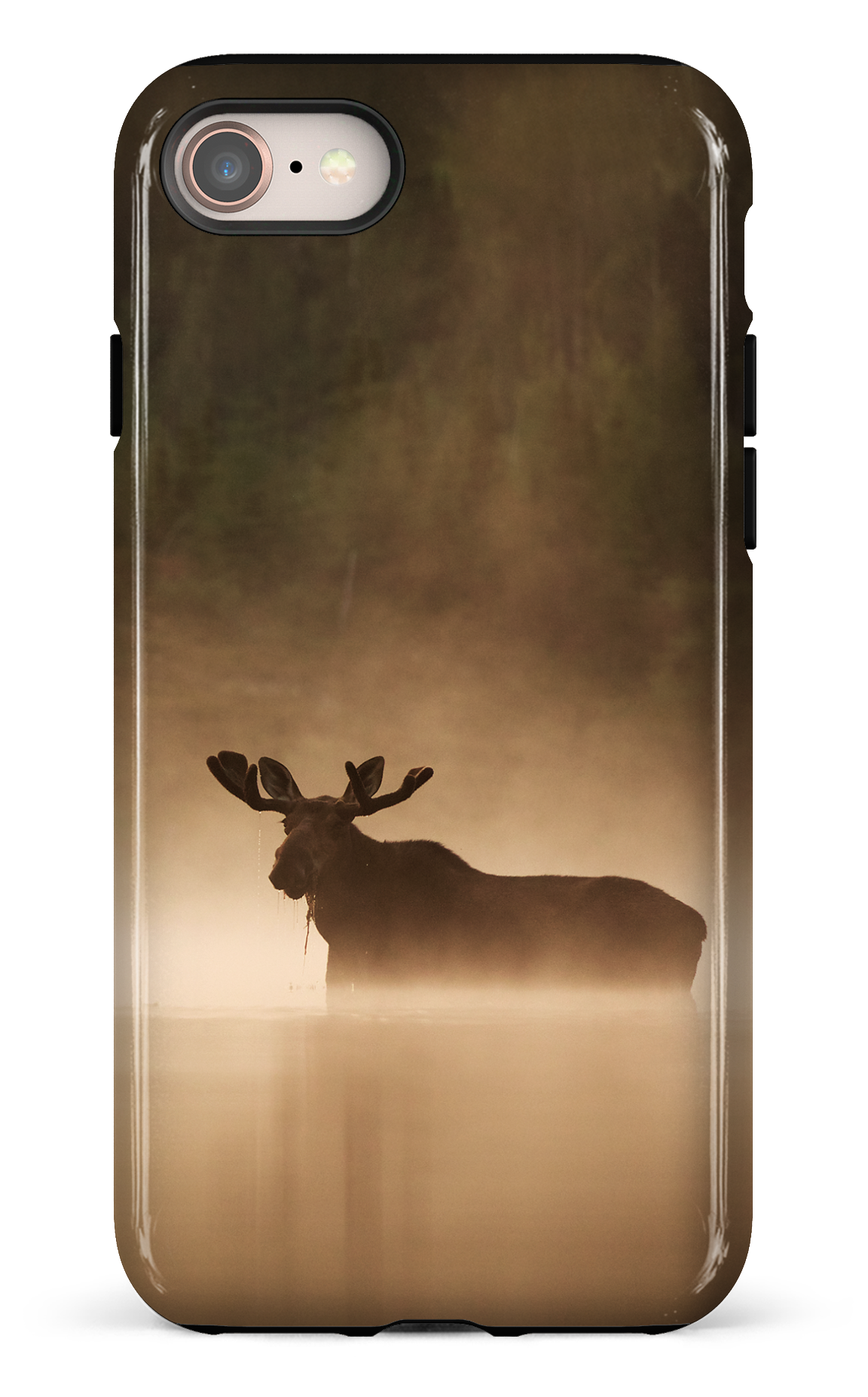 Brume et chaleur