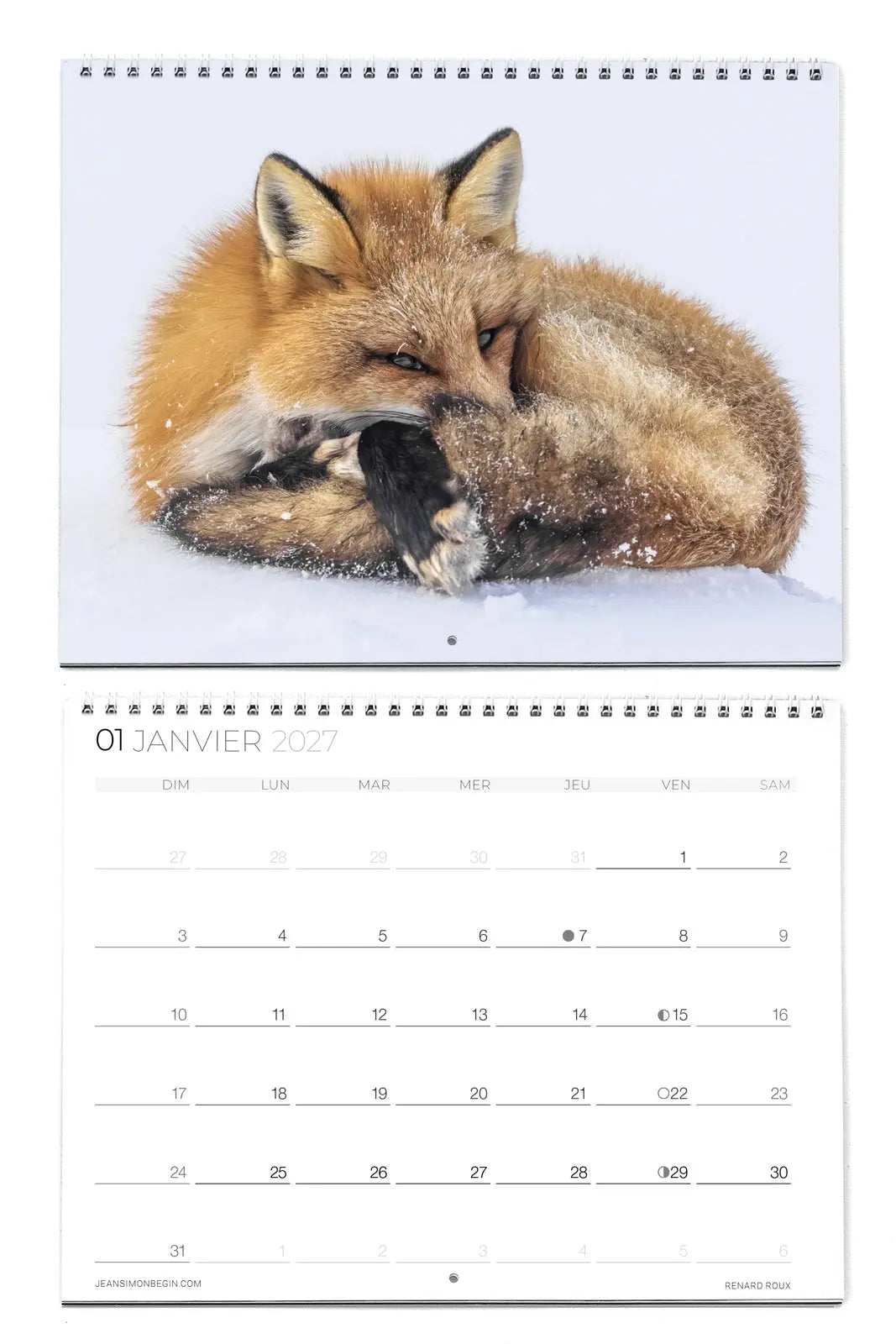 Calendrier régulier - Boréal Jean-Simon Bégin - Photographe Animalier et Artiste Peintre