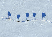 Caribou migrateur - Hiver 176 - Jean-Simon Bégin - Photographe Animalier et Artiste Peintre