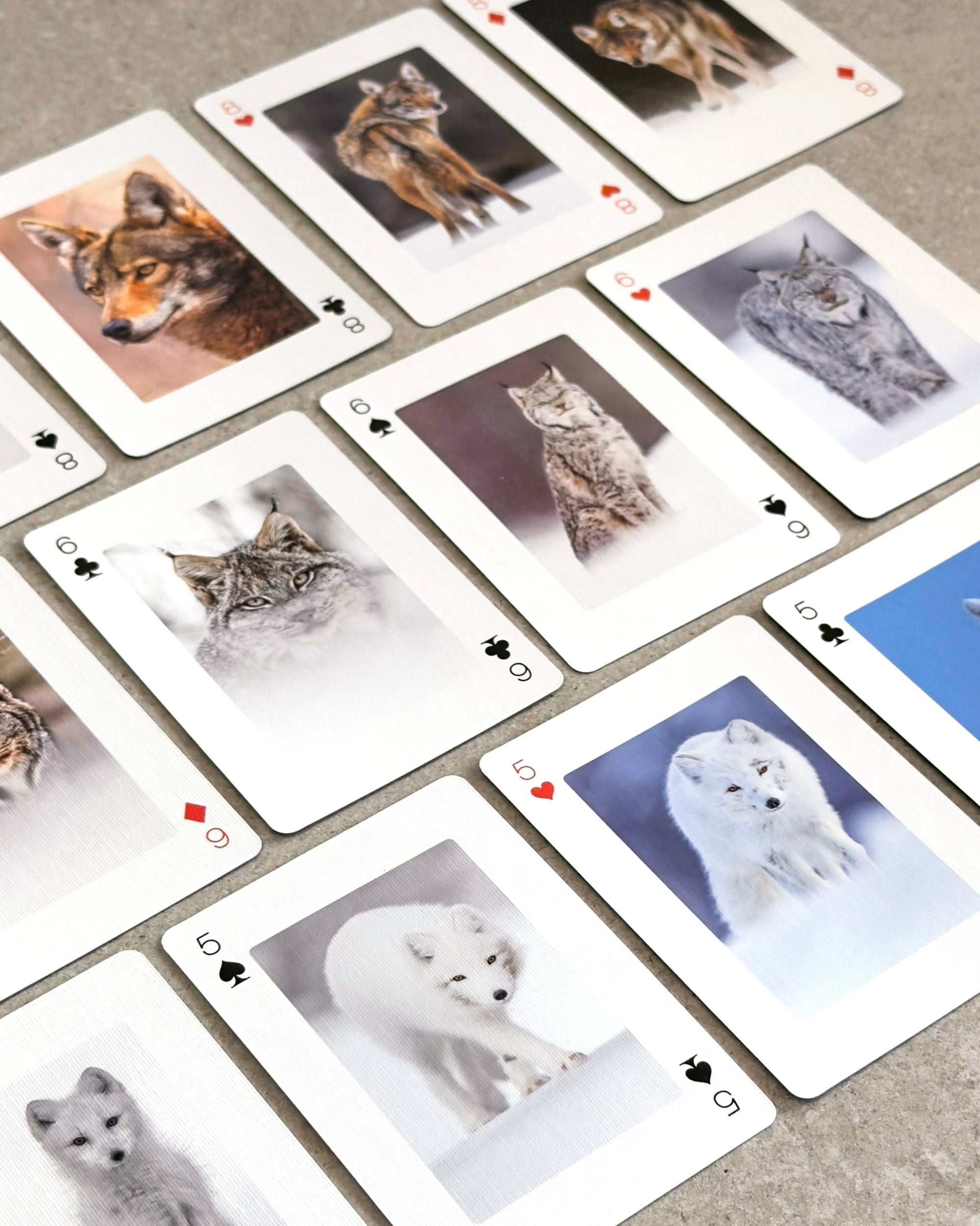 Cartes à jouer - Hiver