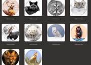 Autocollant - Paquet de 10 - #1 Jean-Simon Bégin - Photographe Animalier et Artiste Peintre