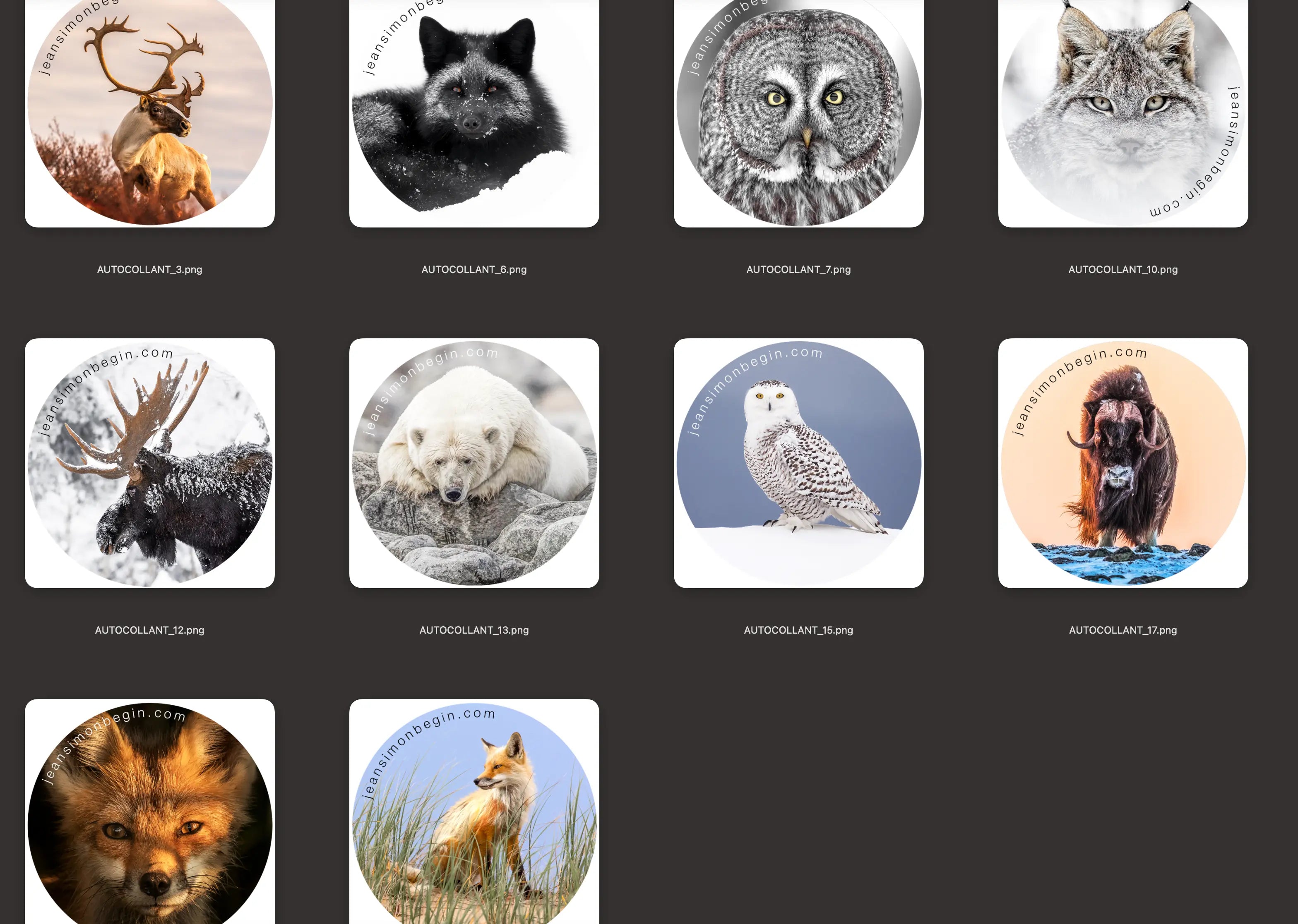 Autocollant - Paquet de 10 - #1 Jean-Simon Bégin - Photographe Animalier et Artiste Peintre
