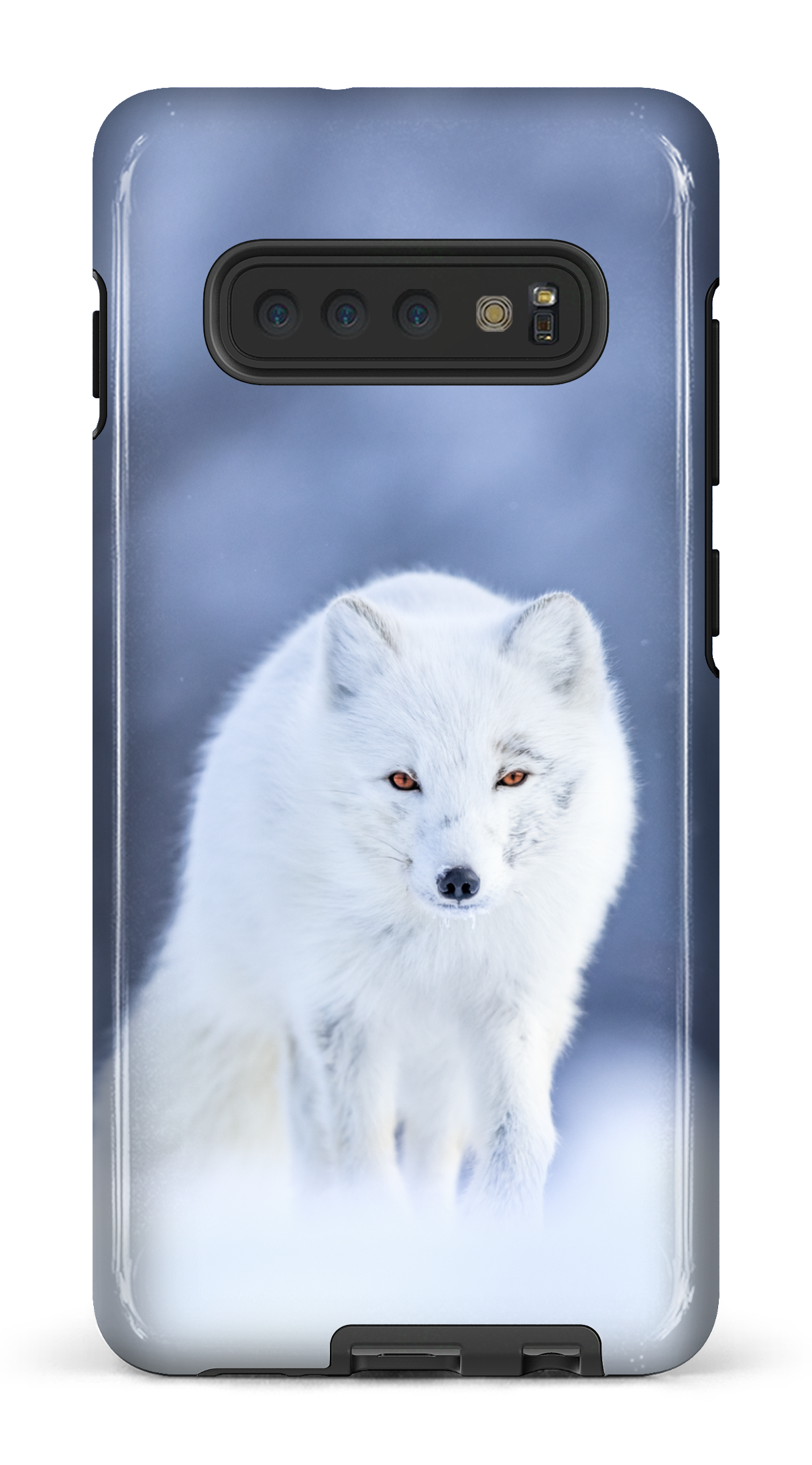 Arctique