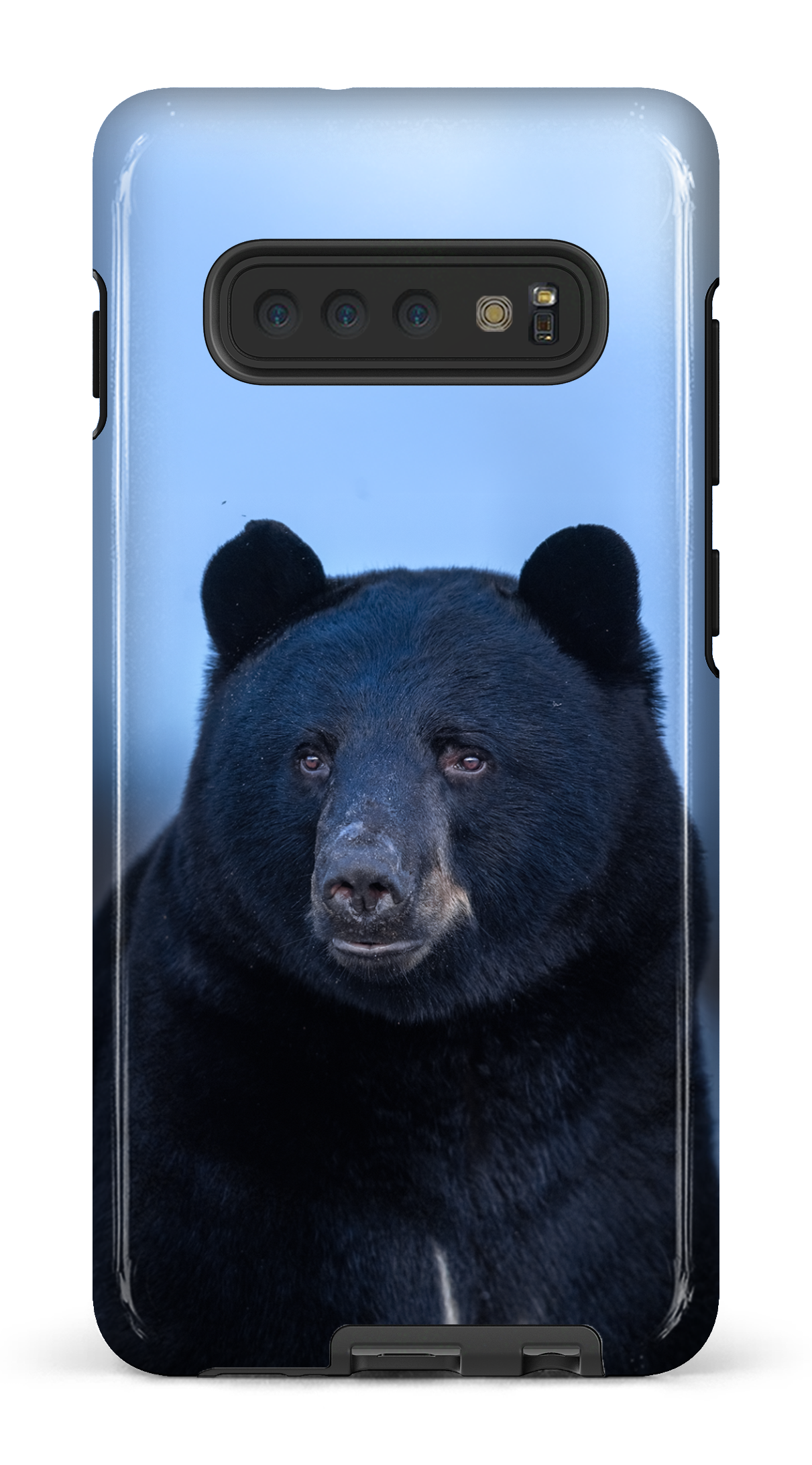 Ours bleu