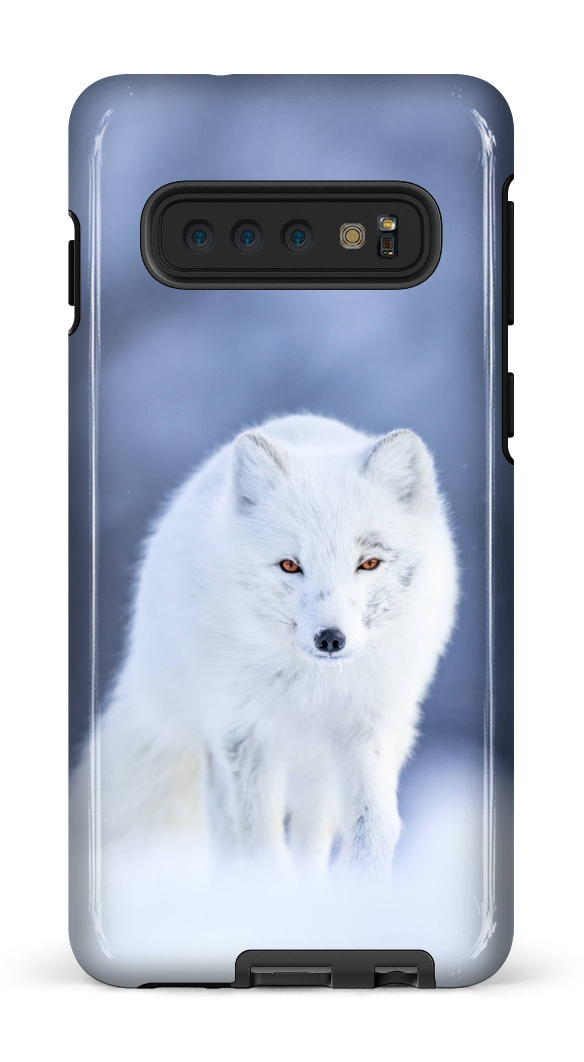 Arctique