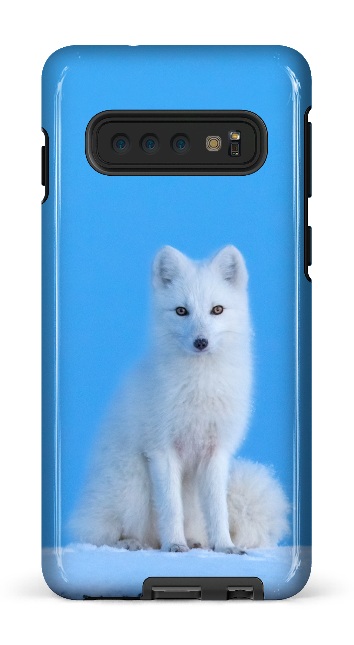 L'heure bleu