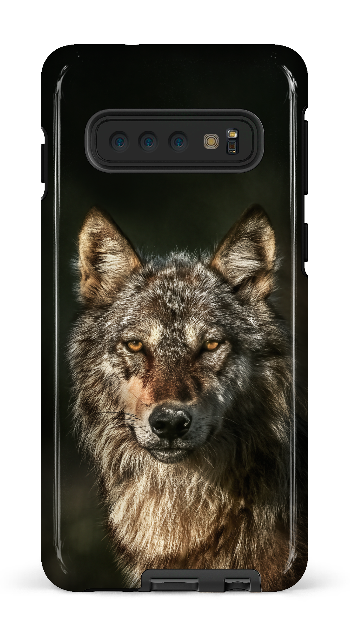 Loups