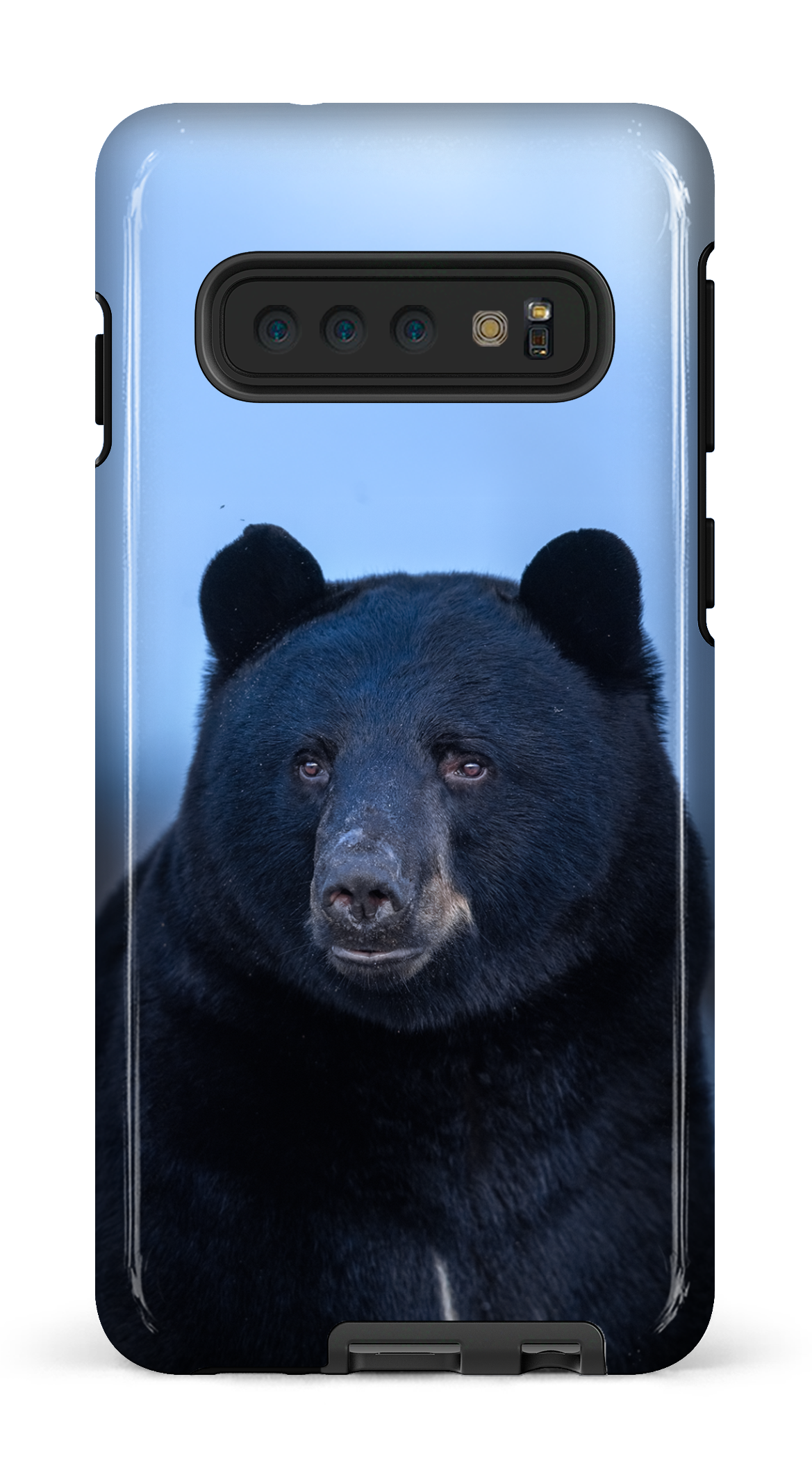 Ours bleu