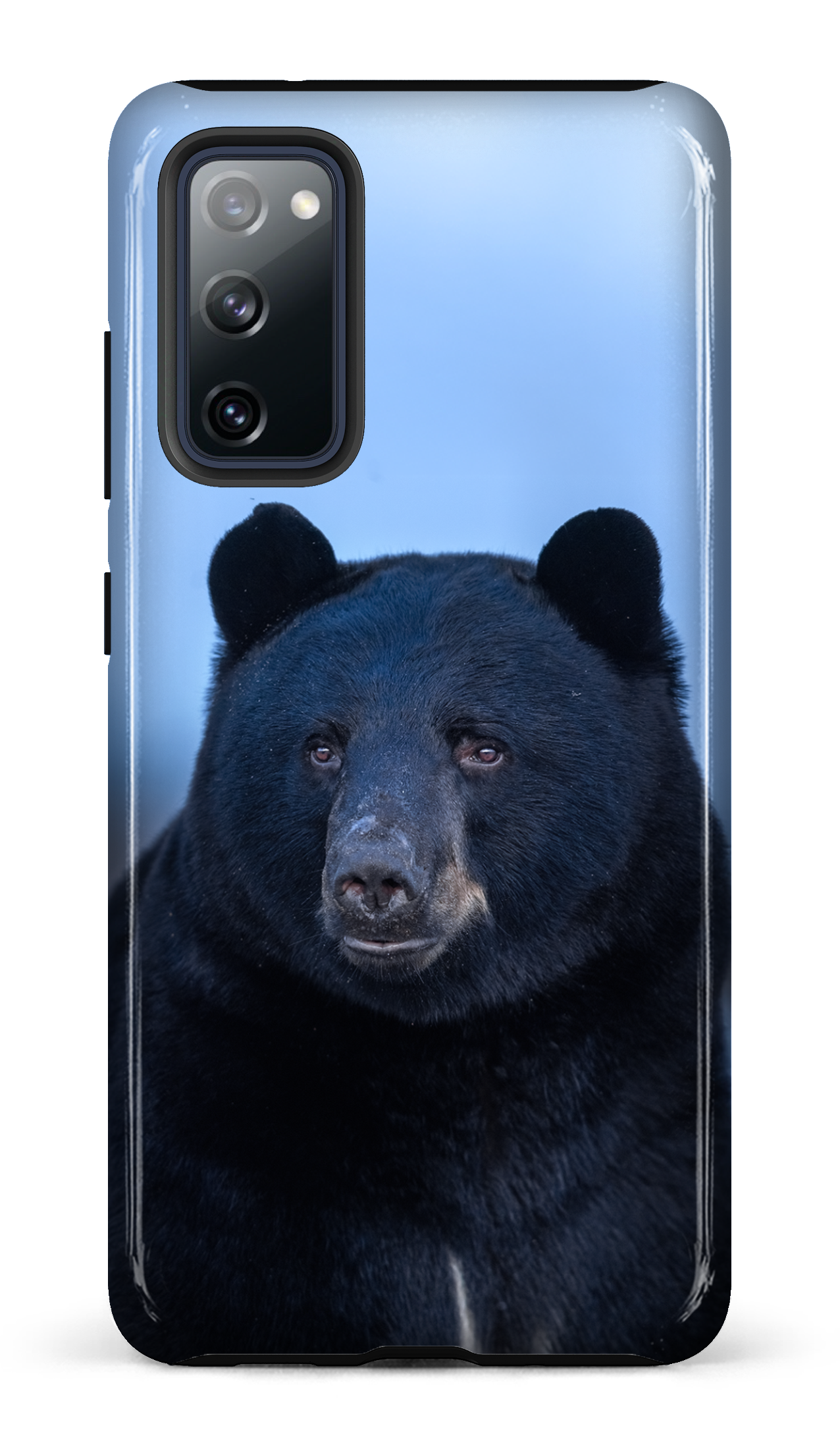 Ours bleu