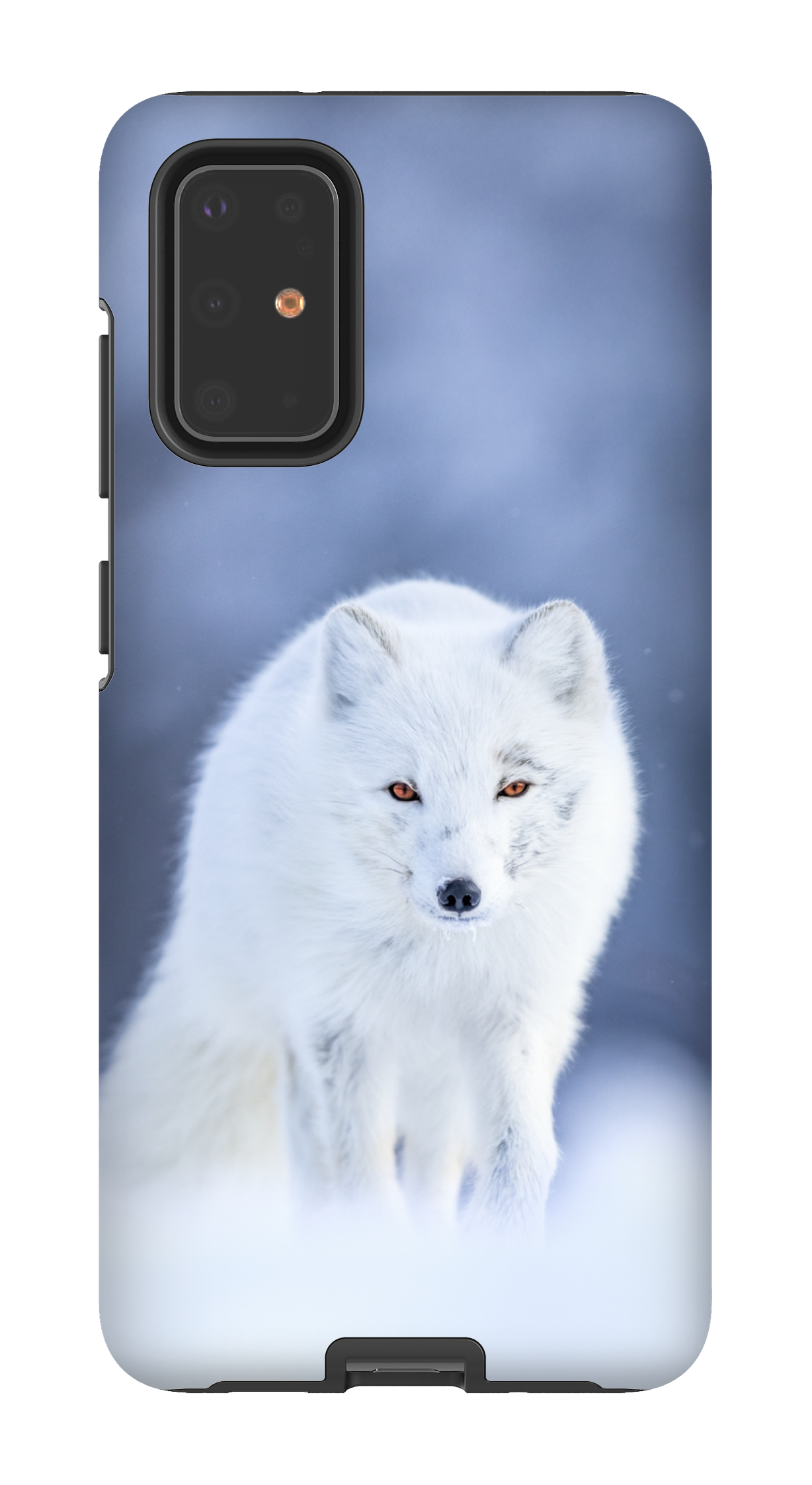 Arctique