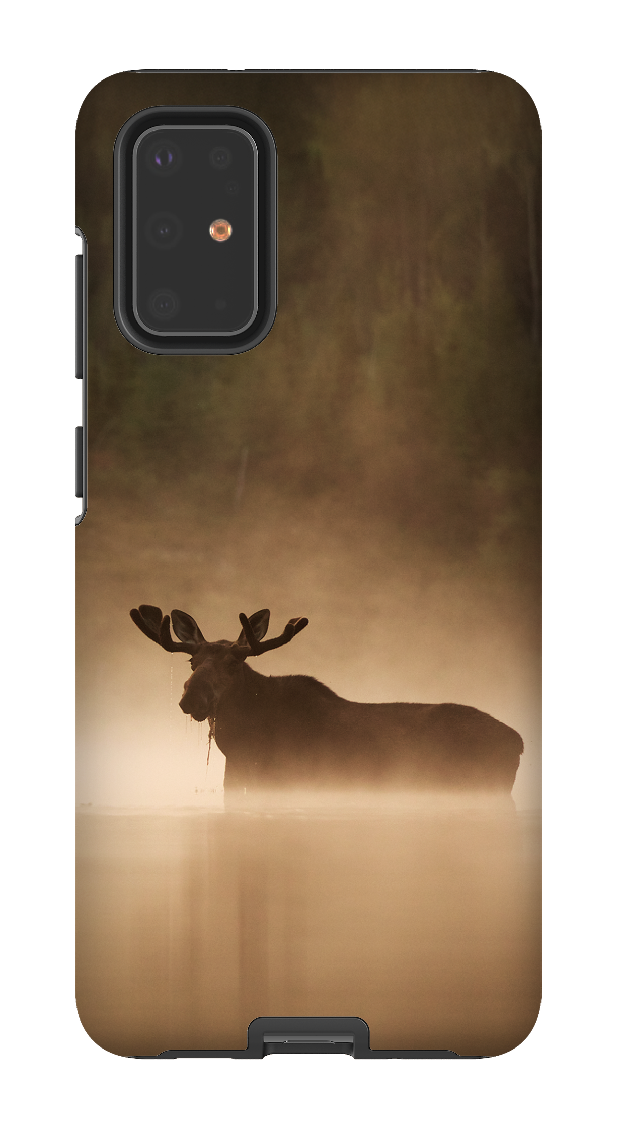 Brume et chaleur