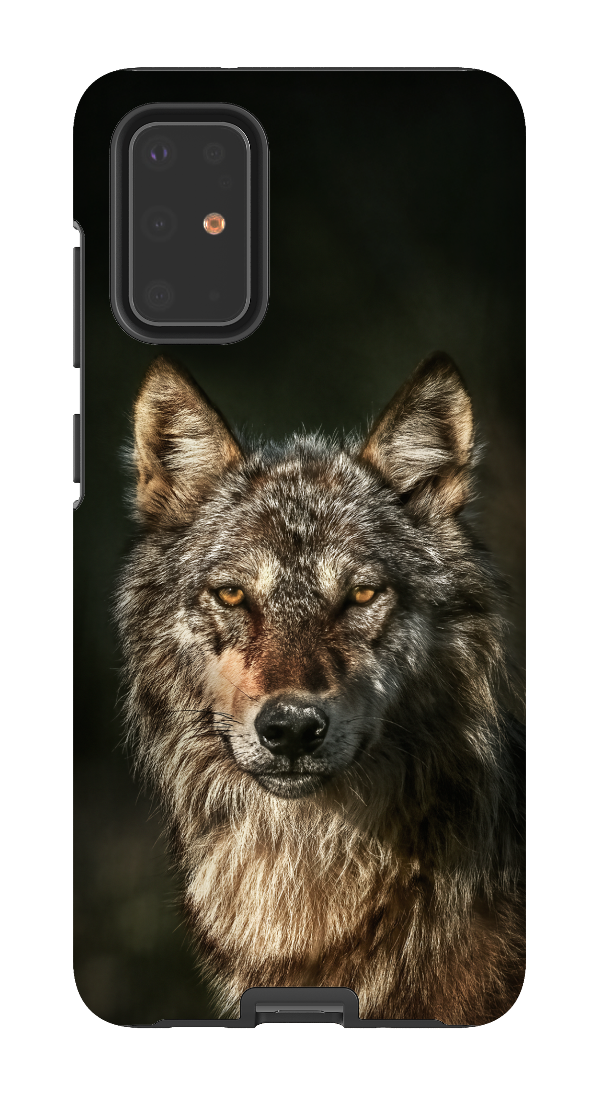 Loups